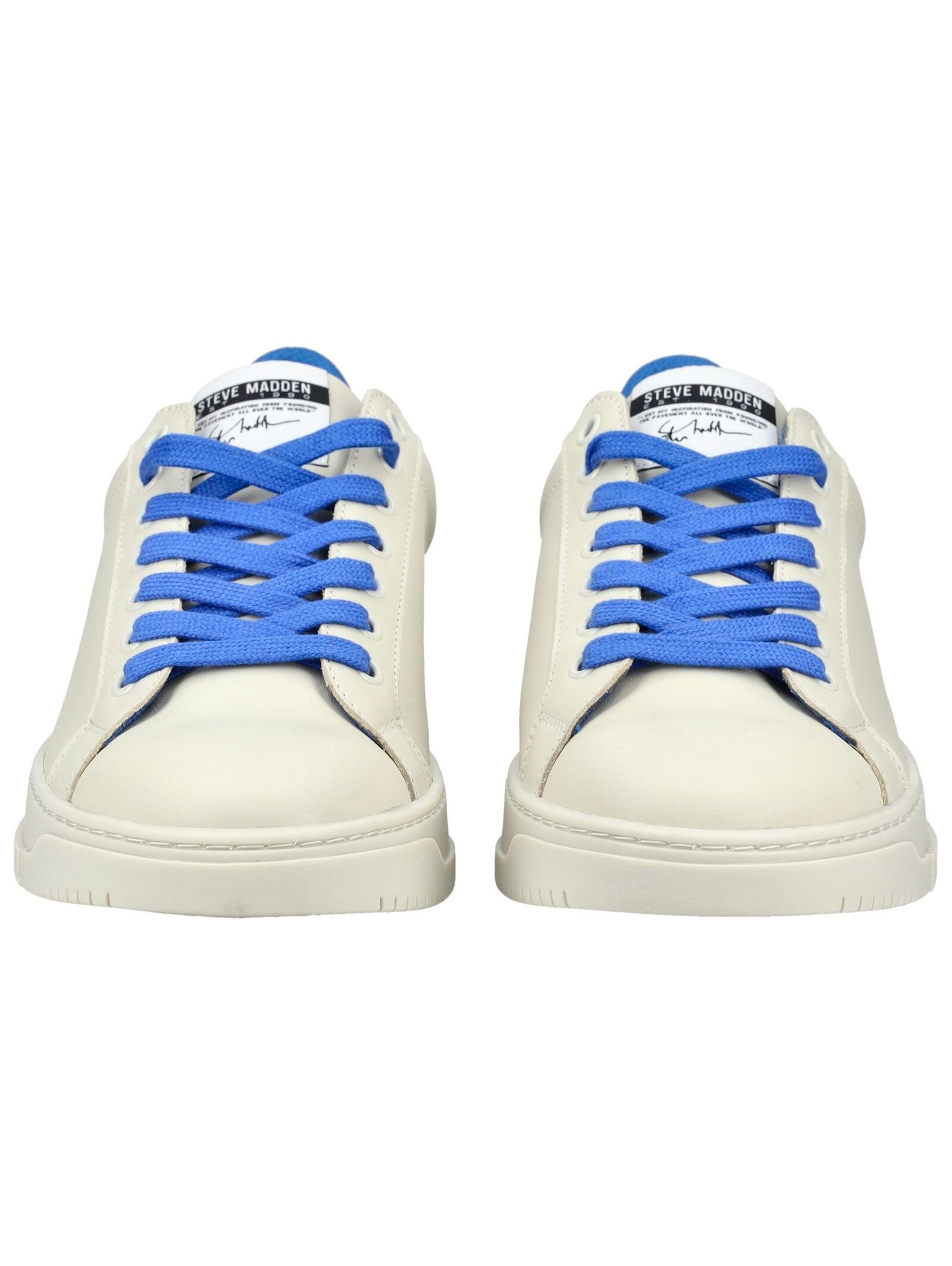 STEVE MADDEN STEVE MADDEN Sneaker Leder Sneaker