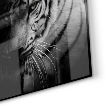 DEQORI Küchenrückwand 'Leopard und Tiger', Glas Spritzschutz Badrückwand Herdblende