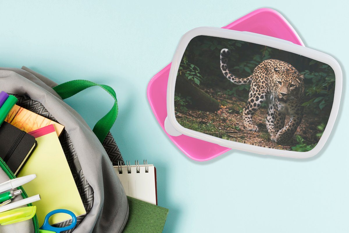 Kunststoff, MuchoWow - Kunststoff Dschungel Brotdose - Natur, (2-tlg), Leopard Snackbox, Lunchbox rosa Mädchen, Kinder, Erwachsene, - für Brotbox Wildtiere