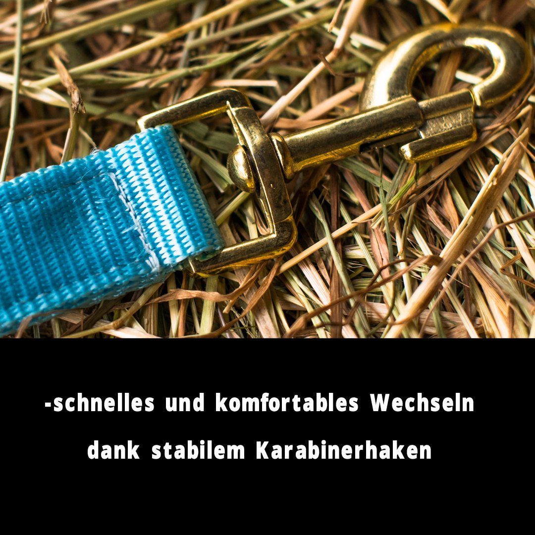Pferdelinis Halfter Halfter für Pferde 2-Fach verstellbar an Kinnriemen und Genickstück, zweifach verstellbar