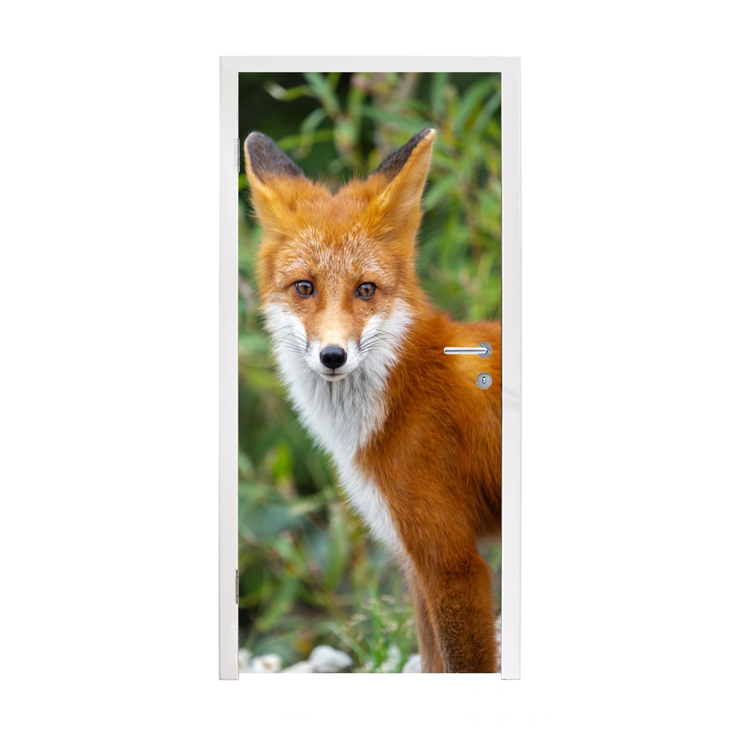 MuchoWow Türtapete Fuchs - Orange - Wald, Matt, bedruckt, (1 St), Fototapete für Tür, Türaufkleber, 75x205 cm