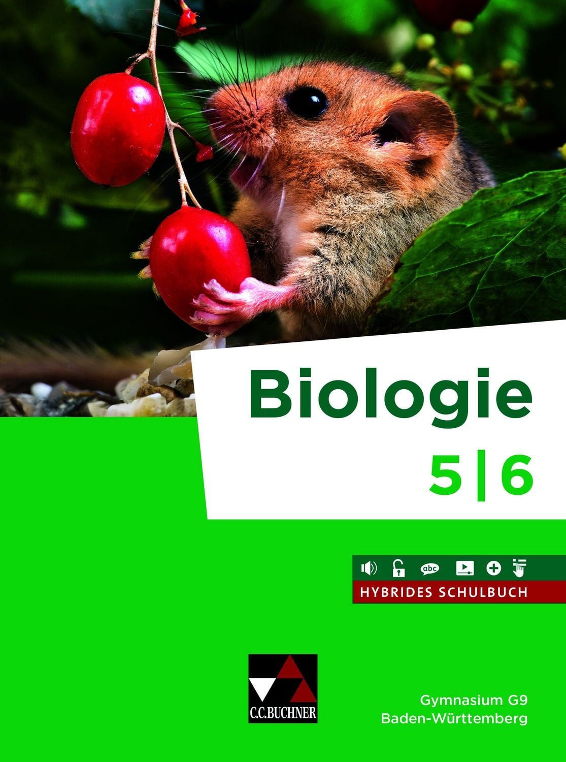Biologie Baden-Württemberg G9 5/6 Ausgabe ab 2026 / Madeleine Birk, Felix Hellinger, Philipp Karl, Oliver Knapp, Johannes Konermann
