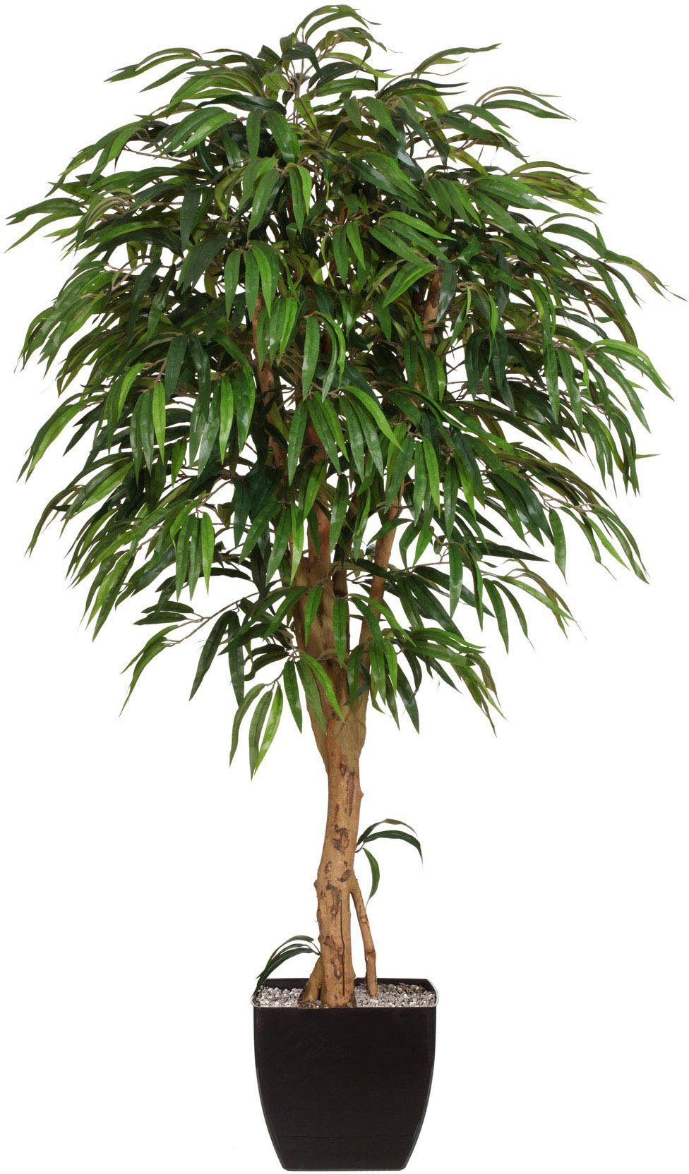 Kunstpflanze Weeping-Ficus, Creativ green, Hhe 180 cm, knstliche Pflanze, knstliche  Zimmerpflanze