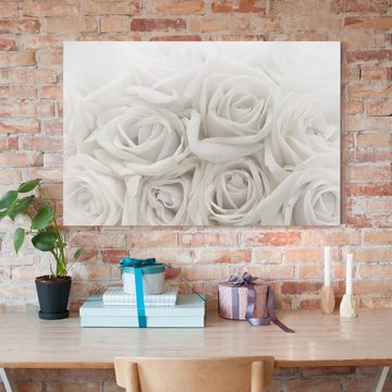 Bilderdepot24 Leinwandbild Blumen Natur Modern Rosen weiss Bild auf Leinwand Groß XXL, Fotografie, Bild auf Leinwand; Leinwanddruck in vielen Größen