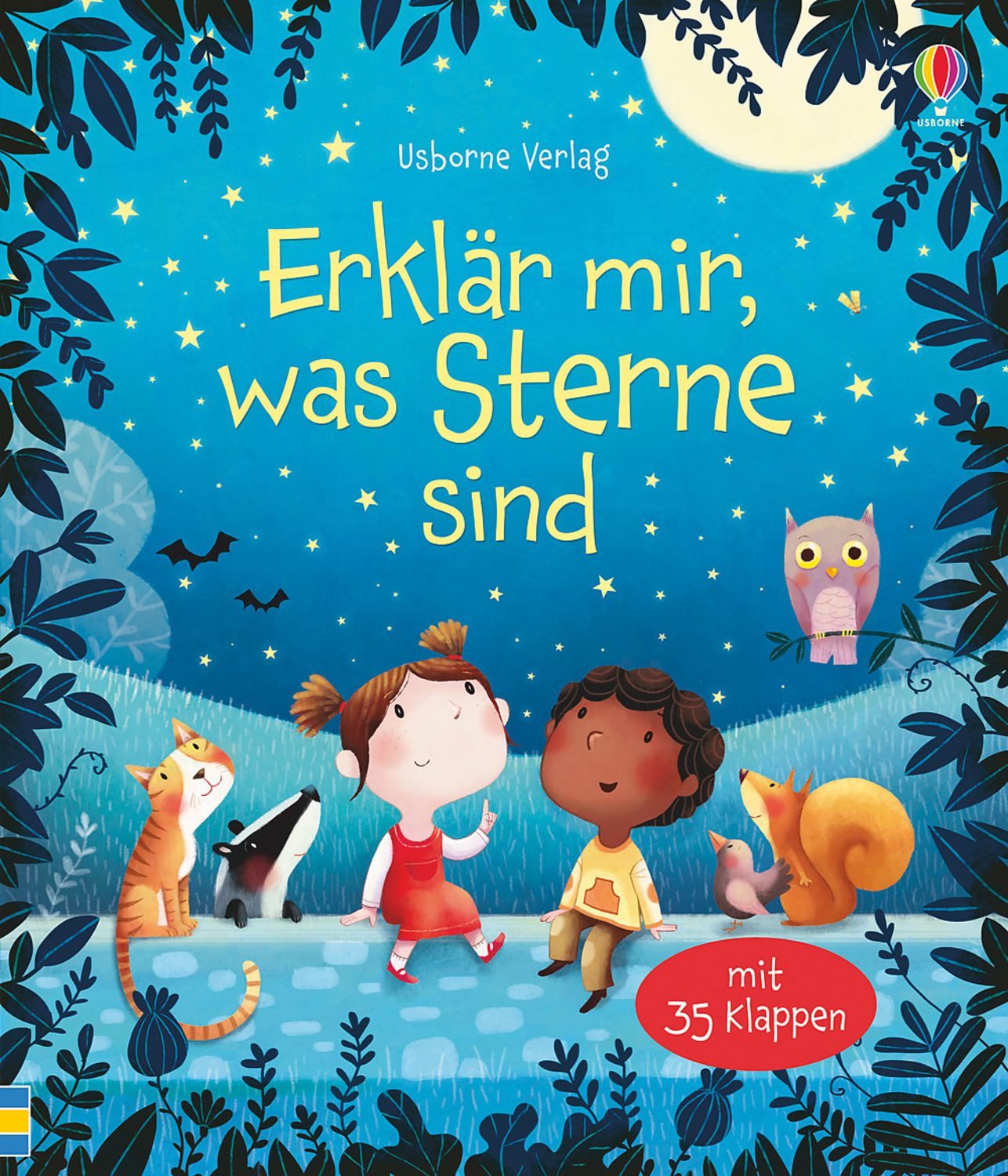 Erklär mir, was Sterne sind / Katie Daynes