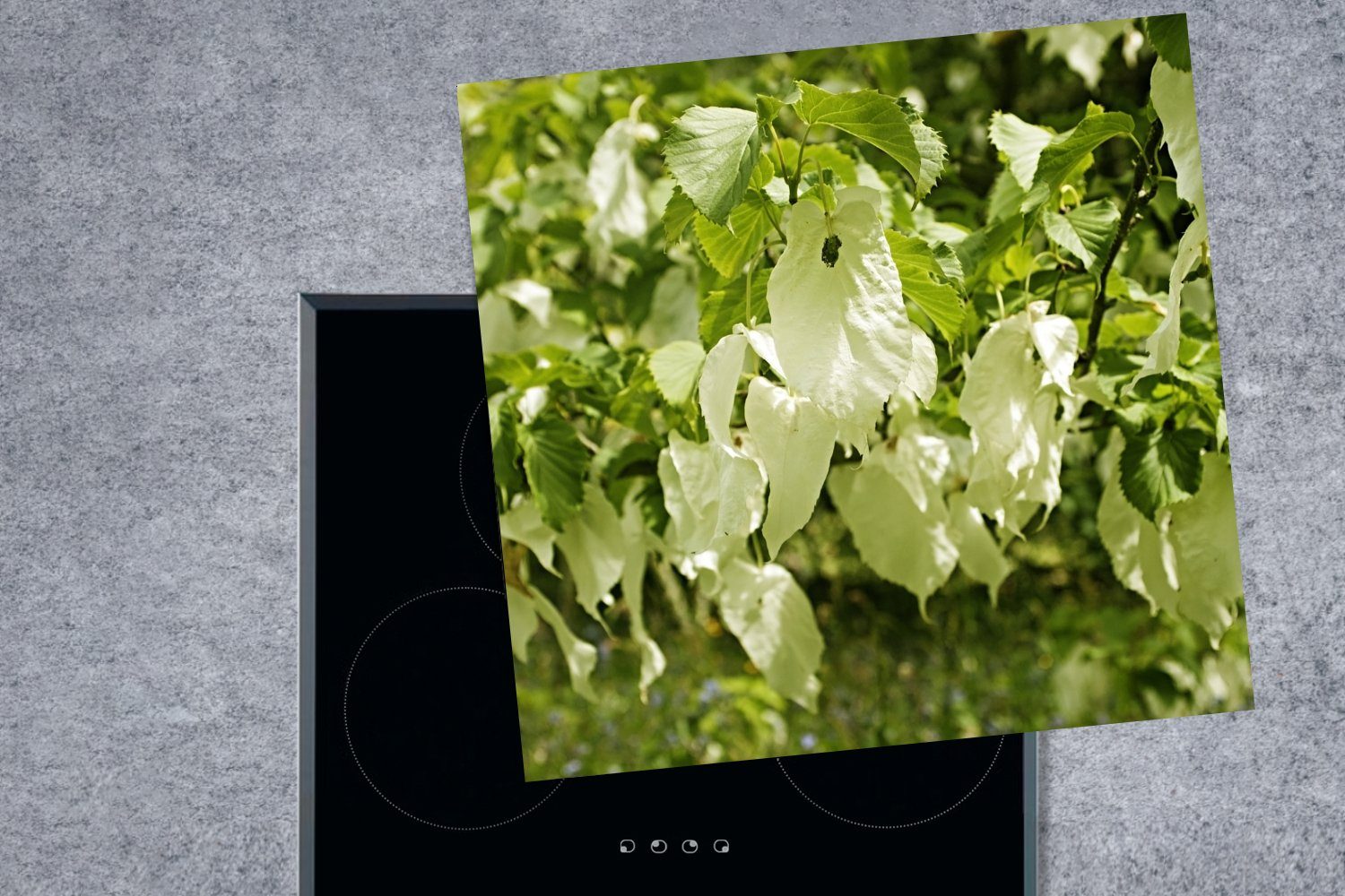 MuchoWow Herdblende-/Abdeckplatte Die tlg), (1 Blätter Vanillebaums, cm, Vinyl, küche 78x78 Ceranfeldabdeckung, für Arbeitsplatte eines
