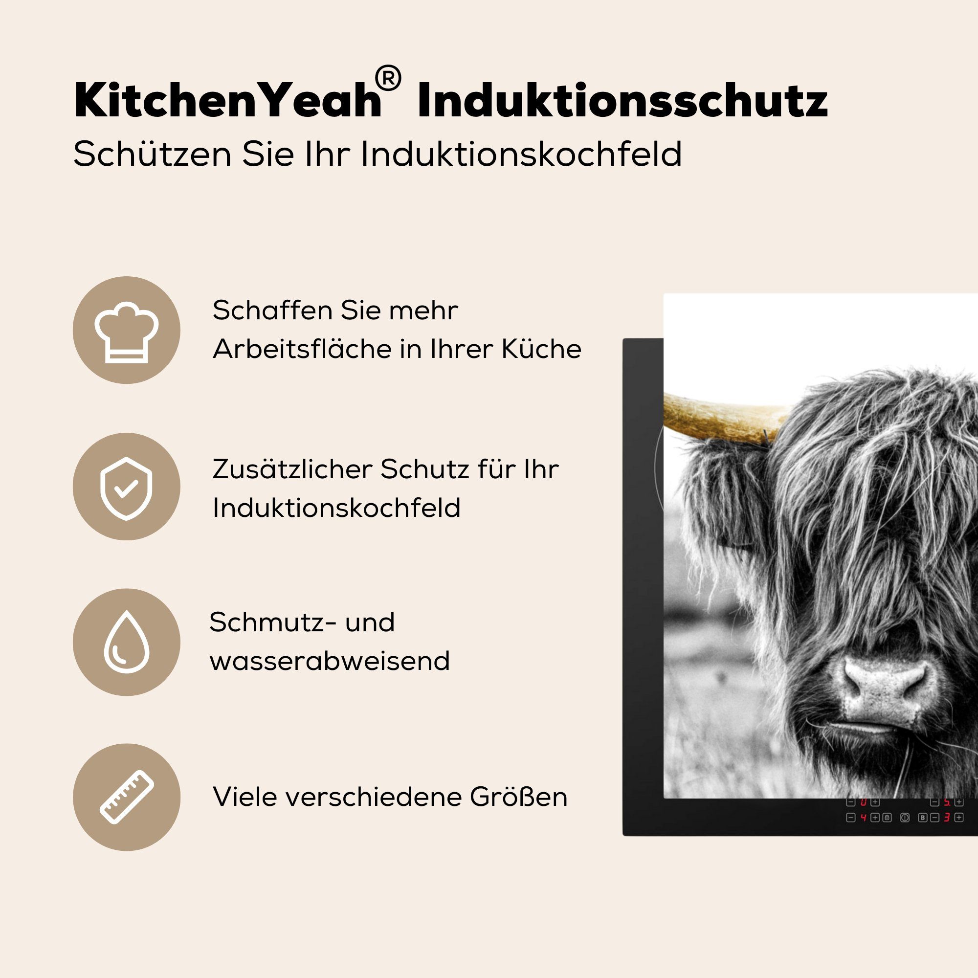 - Highlander Gold, Vinyl, cm, (1 für tlg), MuchoWow küche Schottischer Ceranfeldabdeckung, Herdblende-/Abdeckplatte - 78x78 Gras Arbeitsplatte