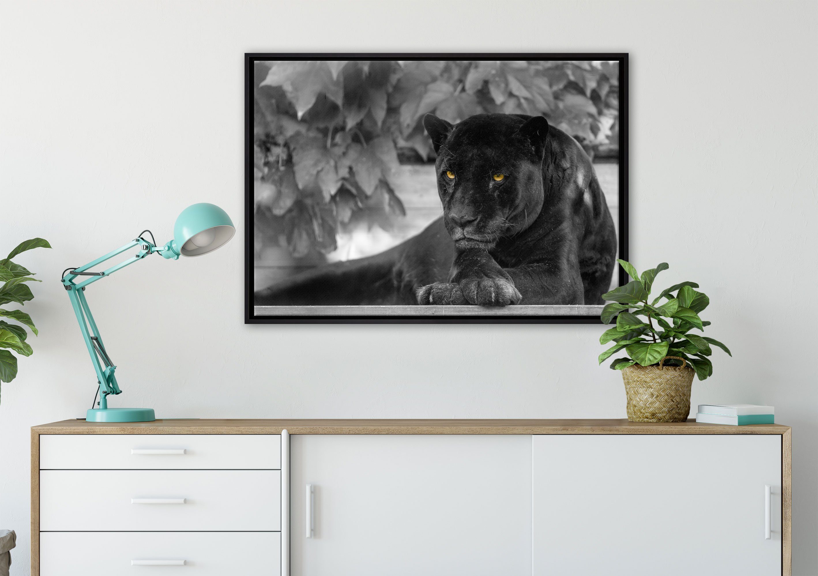 Panther, Schattenfugen-Bilderrahmen schwarzer in St), (1 Wanddekoration schöner Leinwandbild fertig Pixxprint Leinwandbild gefasst, bespannt, inkl. Zackenaufhänger einem