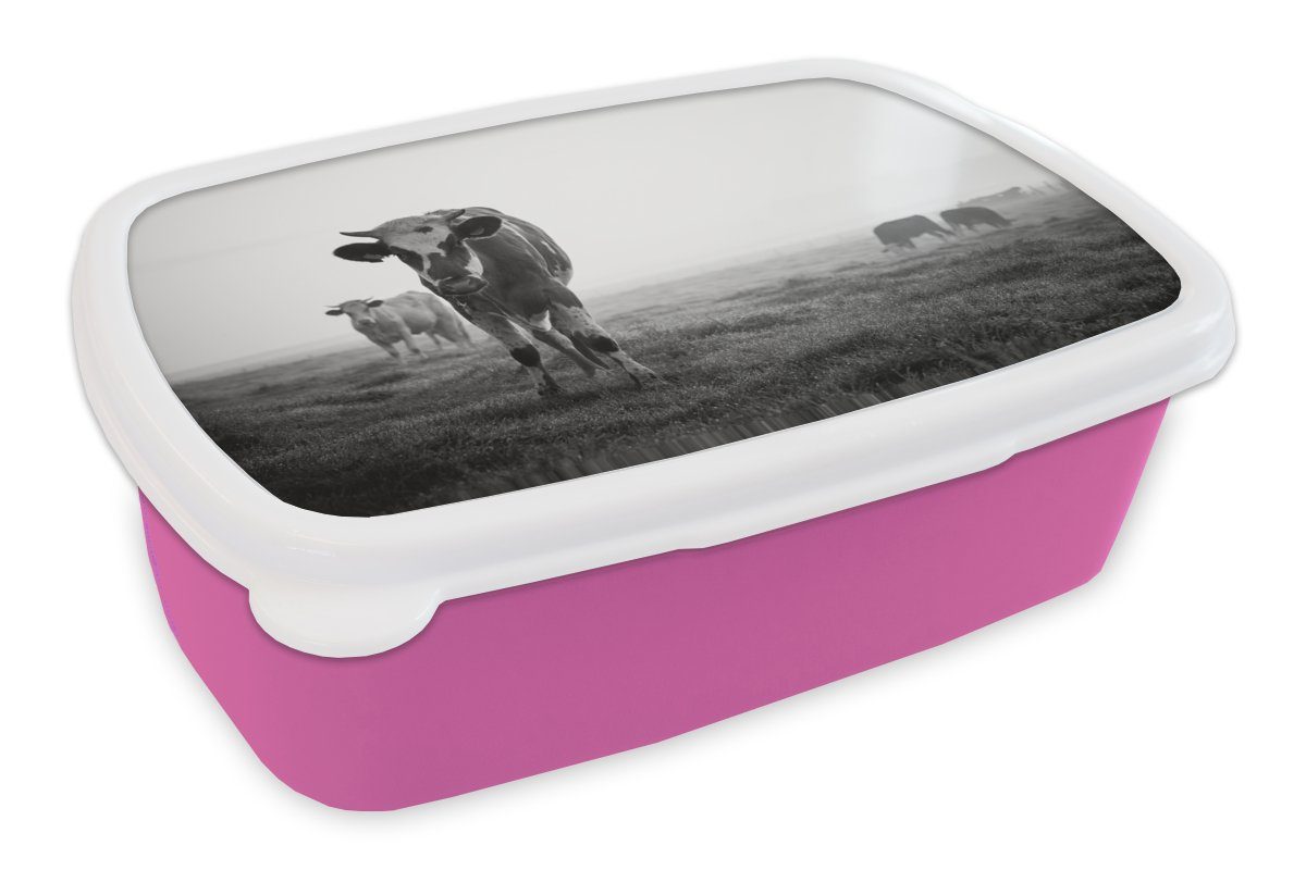 MuchoWow Lunchbox Kühe im Morgennebel schwarz-weiß Foto, Kunststoff, (2-tlg), Brotbox für Erwachsene, Brotdose Kinder, Snackbox, Mädchen, Kunststoff rosa