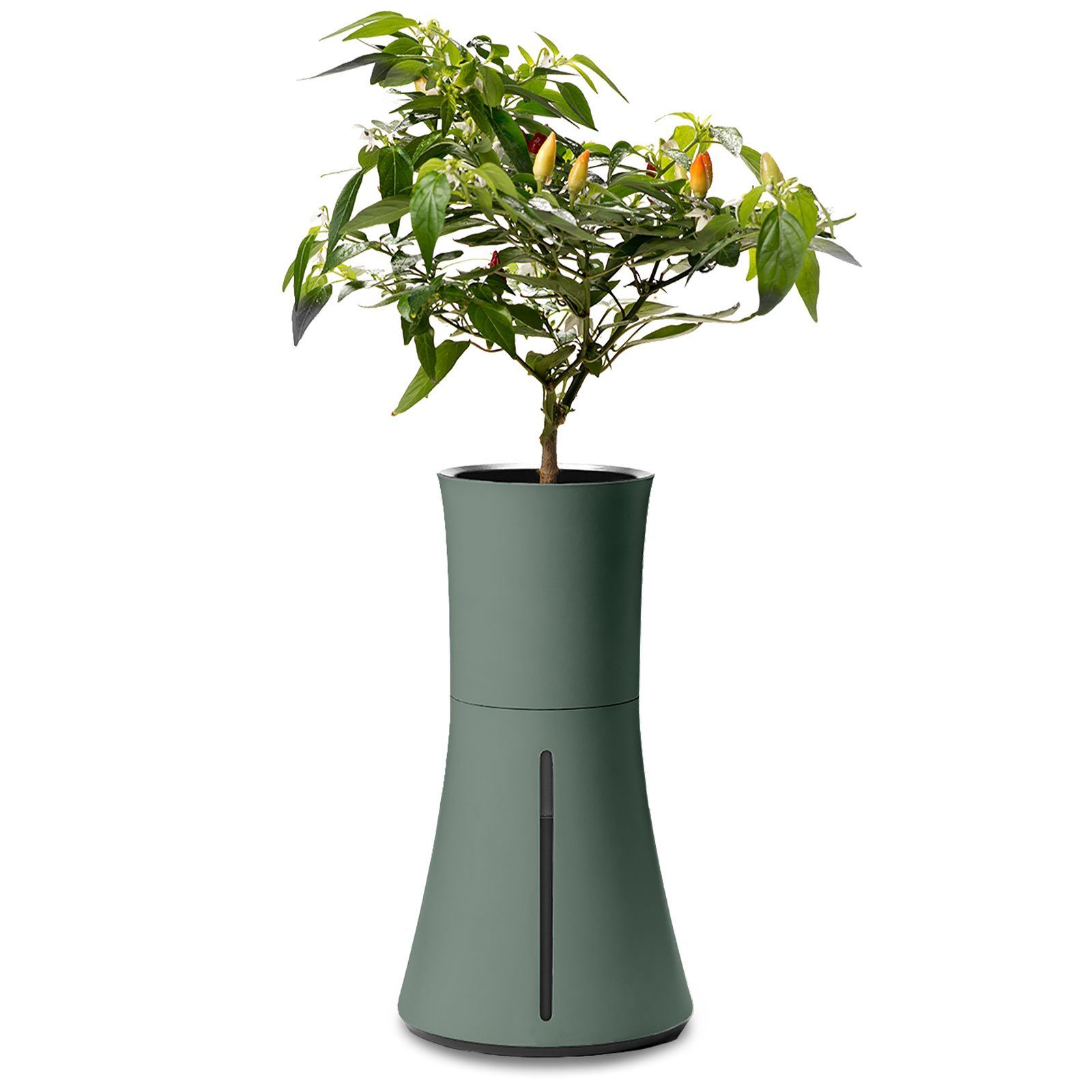 Botanium Blumentopf »Botanium Selbstbewässernder Topf für Kräuter