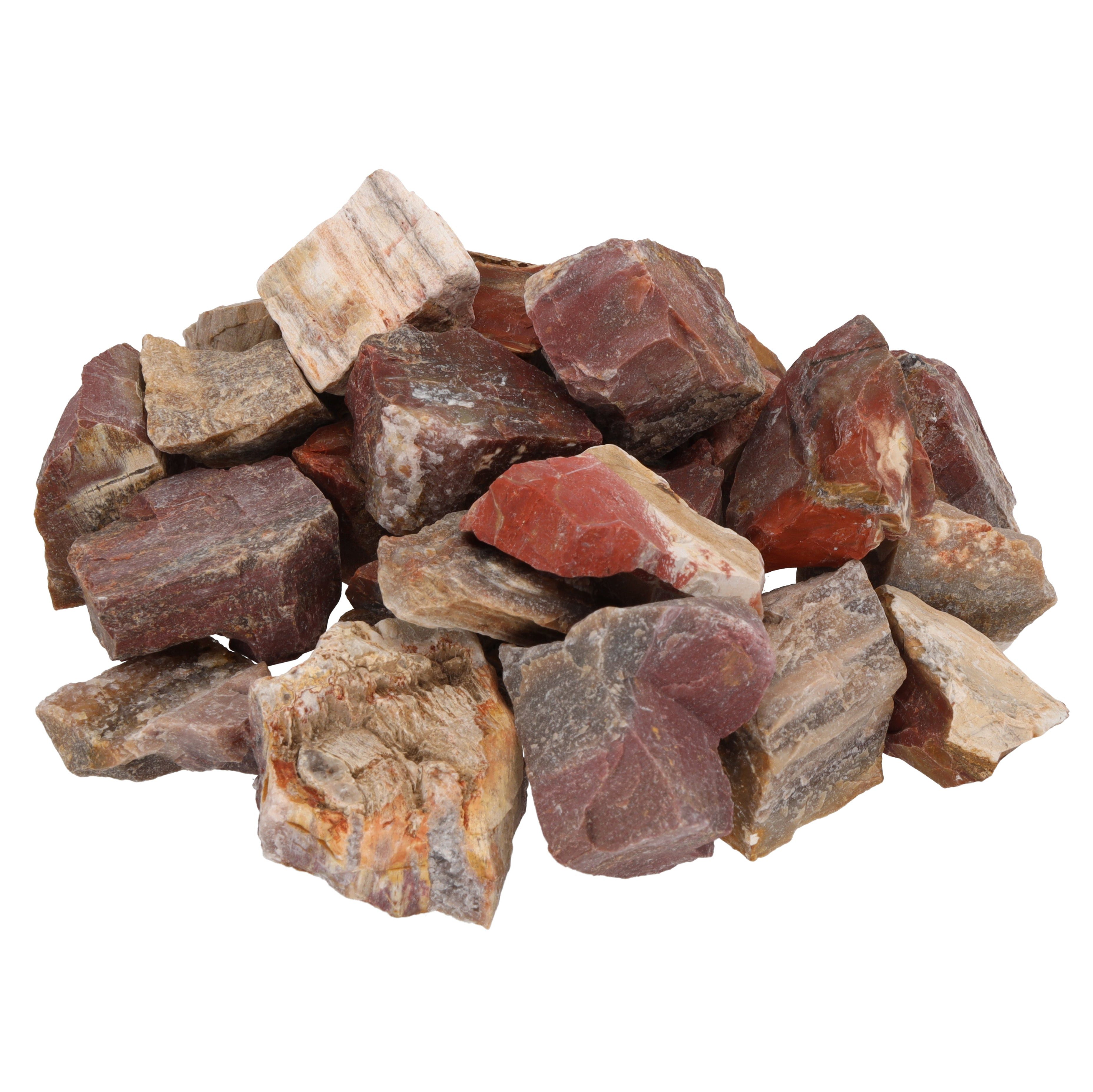 Edelstein Versteinertes Holz Wassersteine