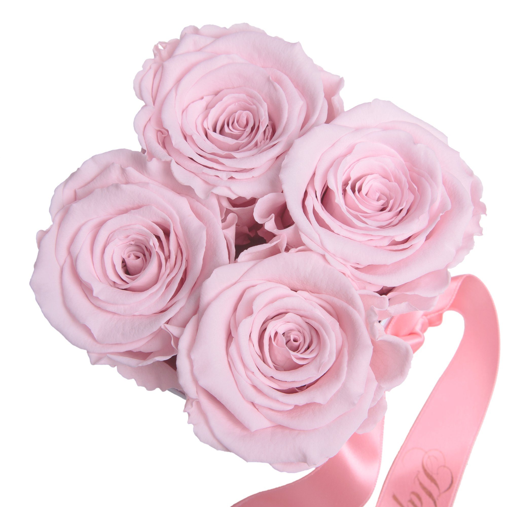 Kunstblume Infinity Rosen Rosenbox Happy Birthday Geburtstag Geschenk für Frauen Rose, ROSEMARIE SCHULZ Heidelberg, Höhe 8.5 cm, echte Rosen lang haltbar, Made in Germany