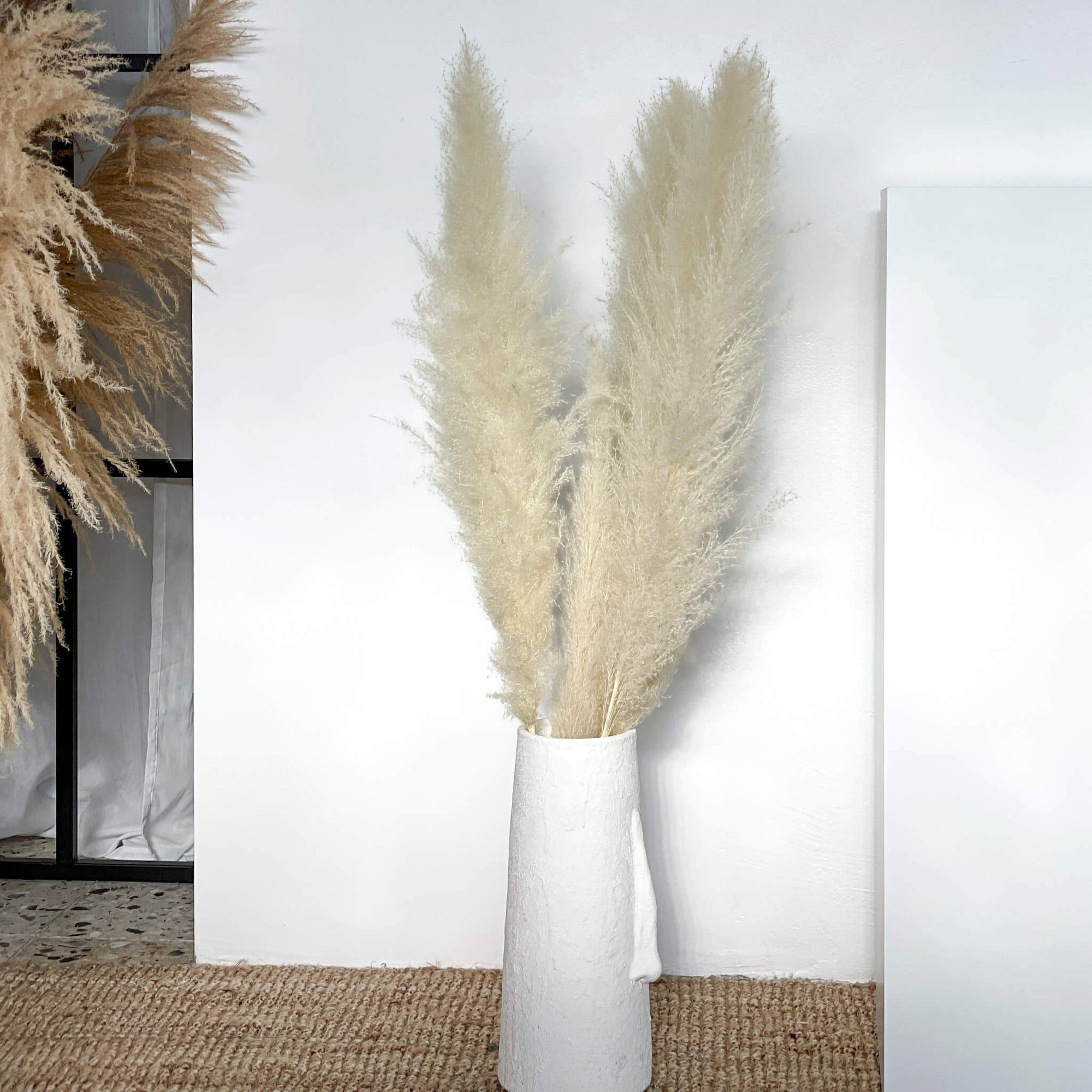 Trockenblume Pampasgras gebleicht Pampasgras, LYKKE & You günstig online kaufen