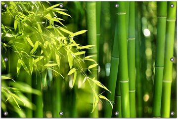 Wallario Sichtschutzzaunmatten Bambuswald mit grünen Bambuspflanzen