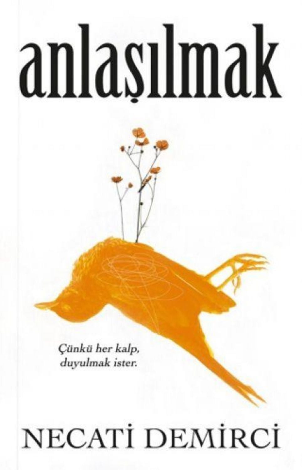 Anlasilmak / Necati Demirci