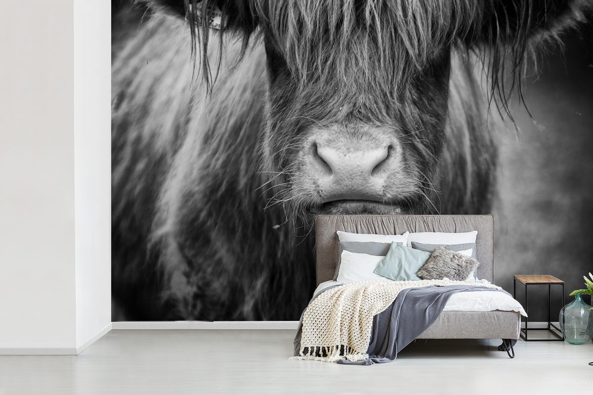 MuchoWow Fototapete Schottischer Highlander Kuhkopf Tapete Kinderzimmer, St), Weiß, bedruckt, für Vinyl Wallpaper - (6 Schwarz - Matt, Wohnzimmer, Schlafzimmer, und