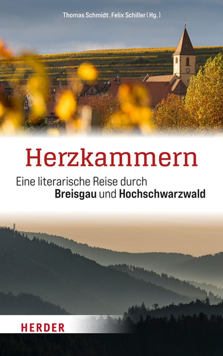 Herzkammern / diverse