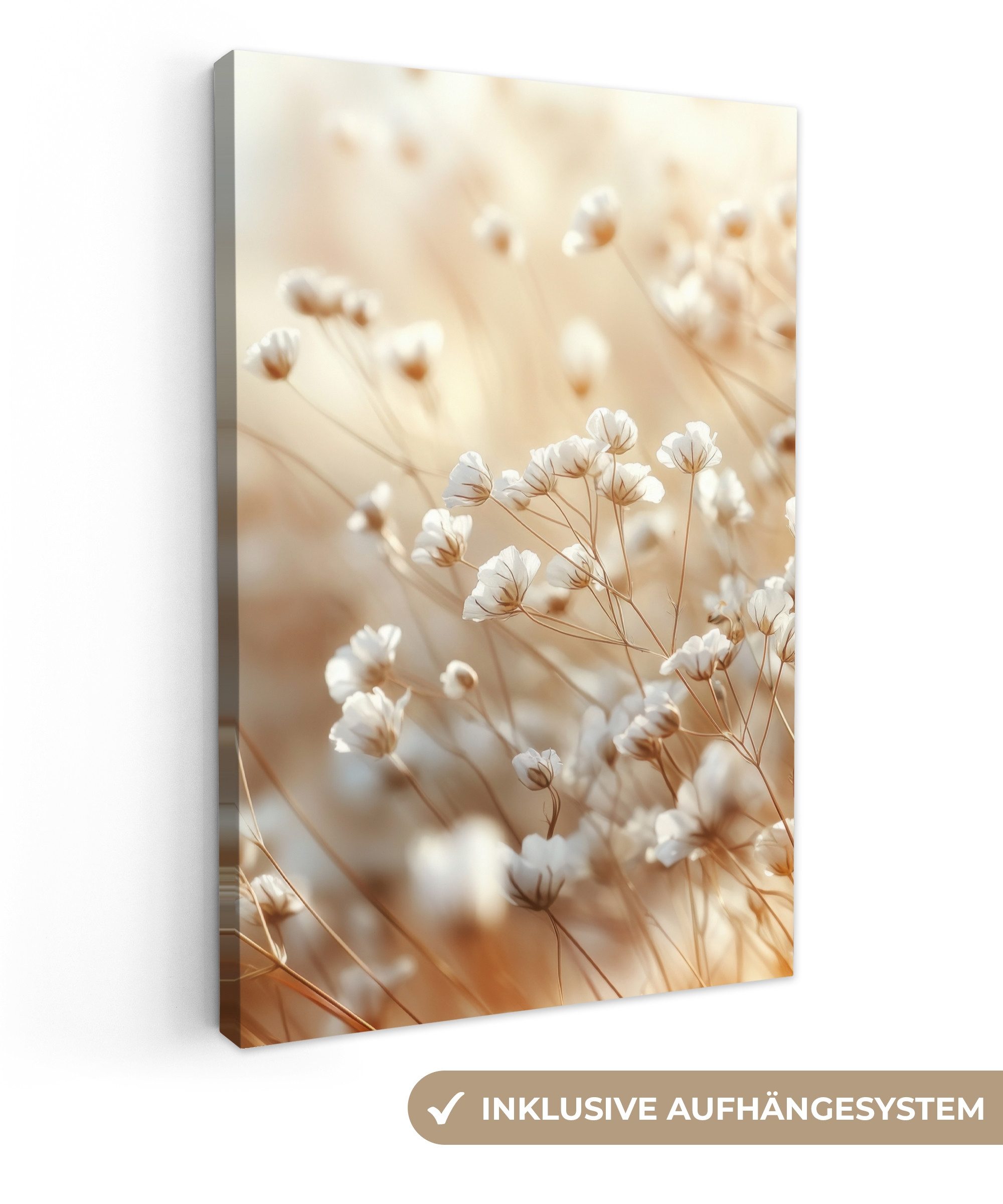 OneMillionCanvasses® Leinwandbild Wild - Blumen - Weiß, Fotodruck (1 St), L günstig online kaufen