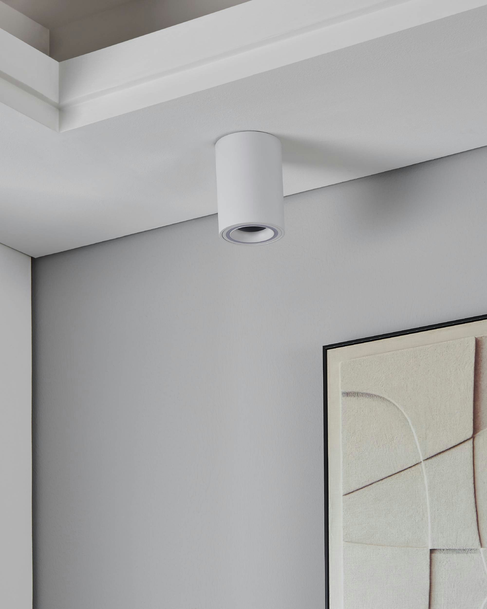 EGLO Aufbauleuchte Carosso-Z Deckenlampe, ZigBee, App und Sprachsteuerung, dimmbar, Metal, CCT - über Fernbedienung, Dimmer, Dimmfunktion, Farbsteuerung, Farbwechsel, Memoryfunktion, RGB, Smart Home, Weckerfunktion, dimmbar über Fernbedienung, mehrere Helligkeitsstufen, LED fest integriert, Aufbauleuchte - H12 x Ø8 cm - weiß - 1X4,9W inkl.