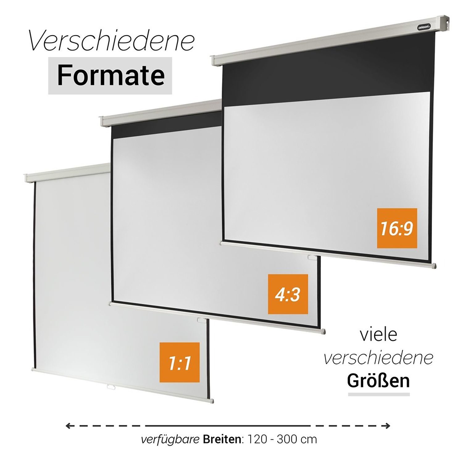 Professional x 98cm, 16:9, Rolloleinwand (174 Gain 1,2) Celexon