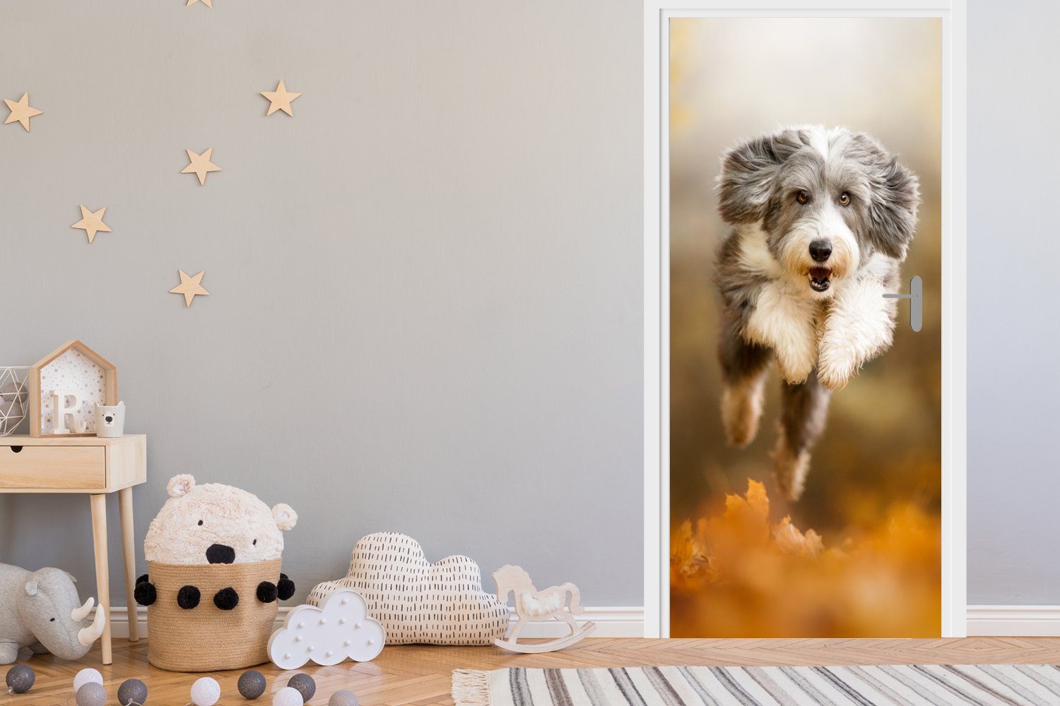 Herbst, - (1 Fototapete St), Laub MuchoWow - Matt, Türaufkleber, cm Hund Türtapete Tür, für 75x205 bedruckt,