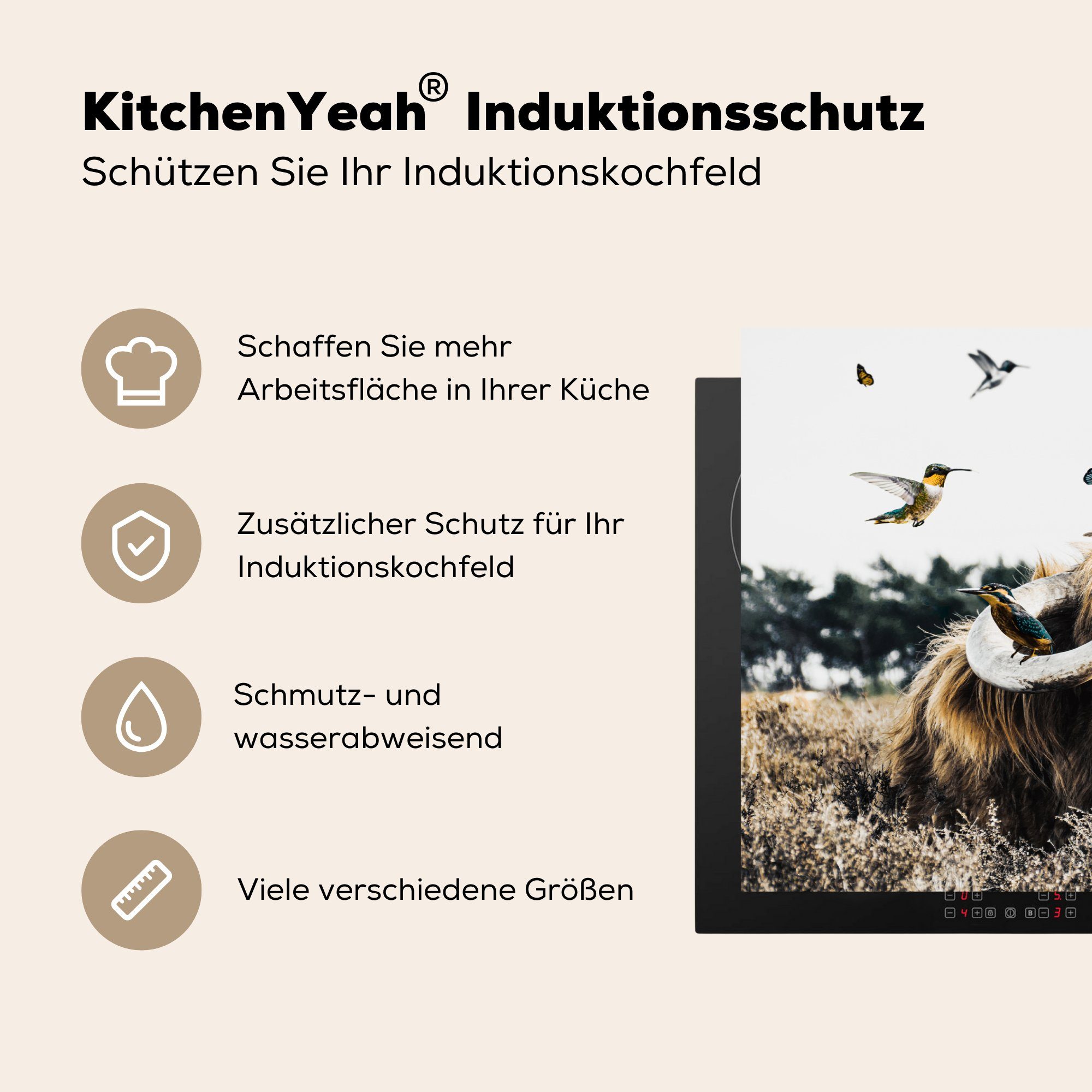 Vogel Schutz (1 für tlg), - MuchoWow Schottischer - Heidekraut, die 81x52 küche, Induktionskochfeld Herdblende-/Abdeckplatte Vinyl, Ceranfeldabdeckung cm, Highlander