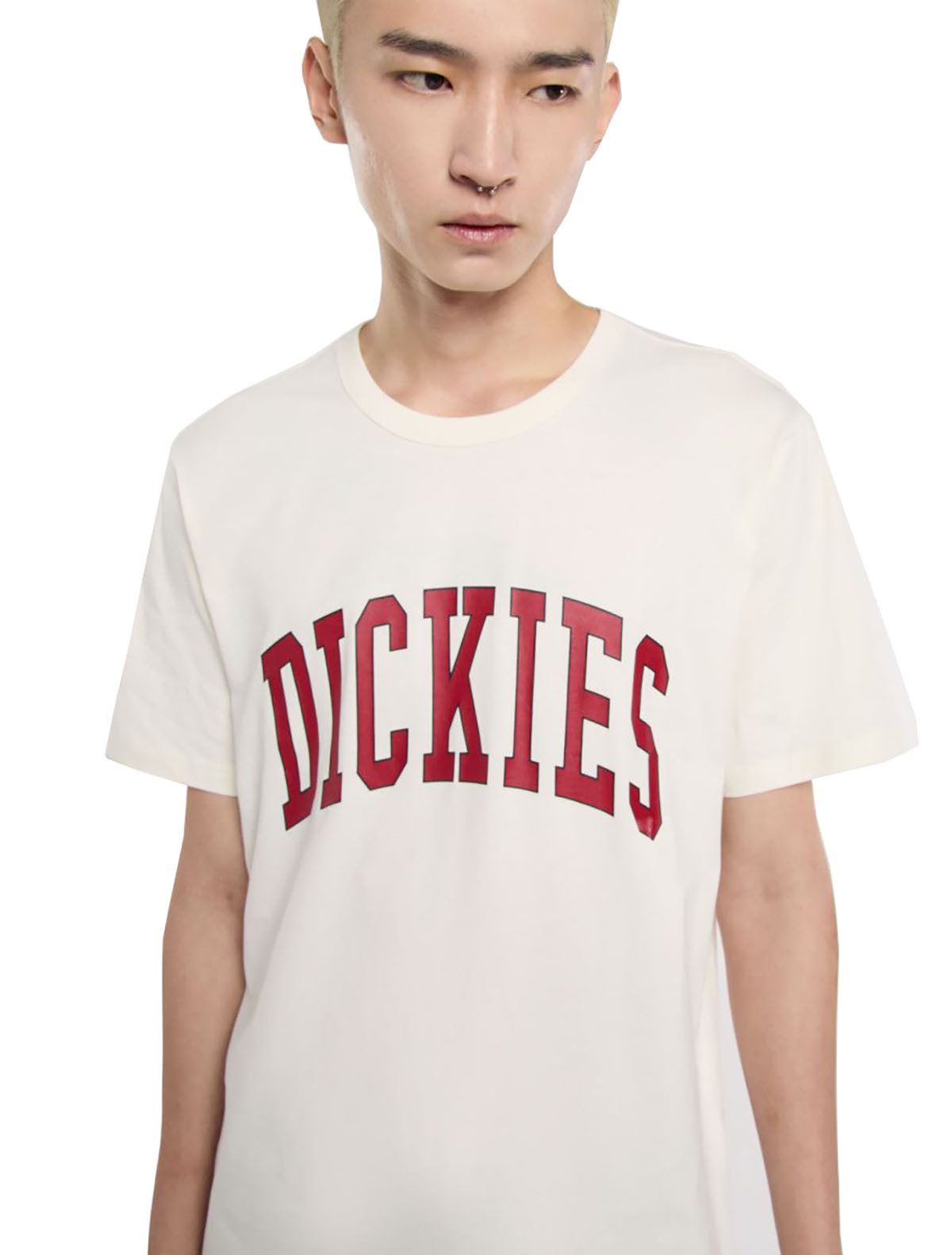Dickies T-Shirt Dickies Herren T-Shirt Aitkin beige/red