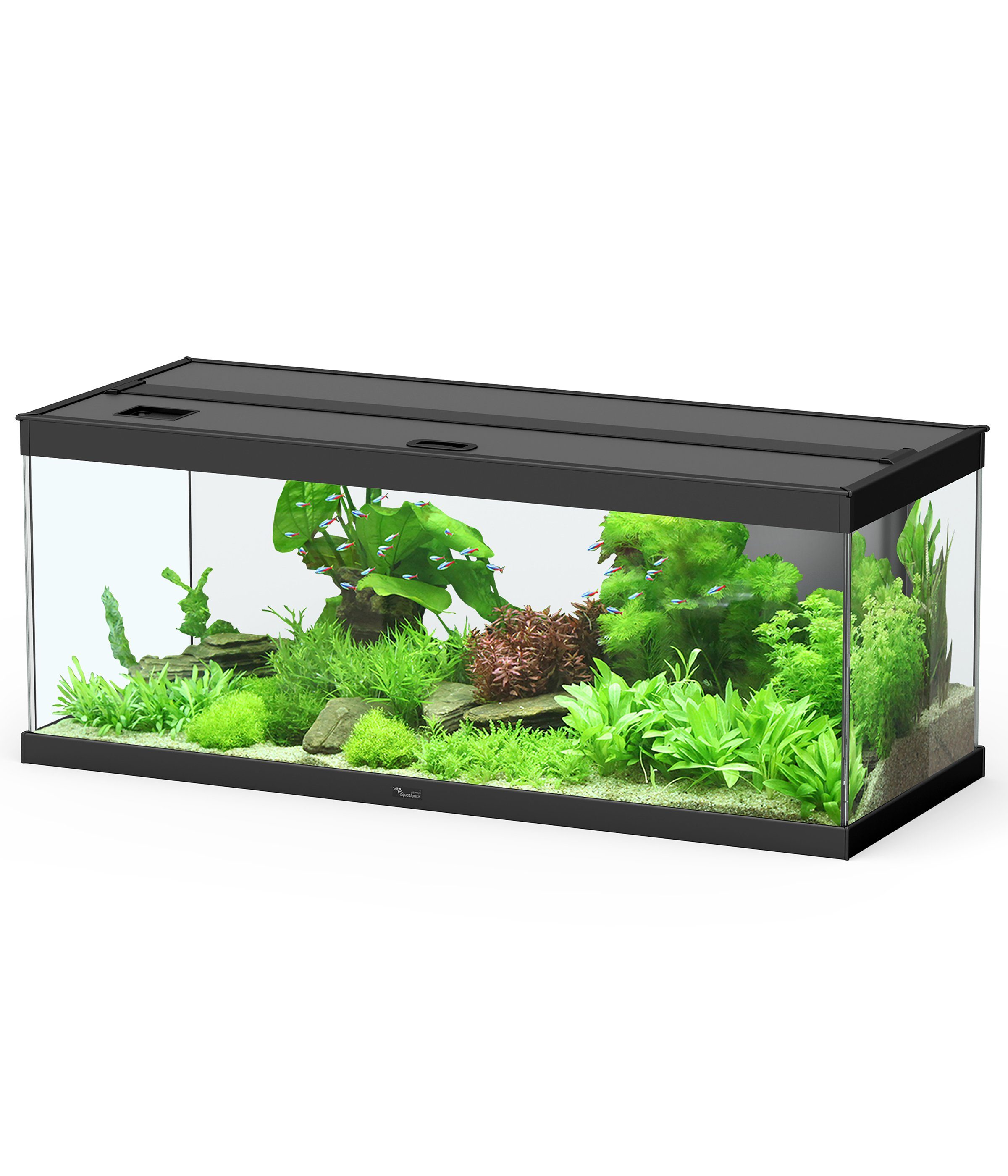 Dehner AquarienSet »Aqua Premium Pro 100, 160 l, 100 x 40 x 40 cm