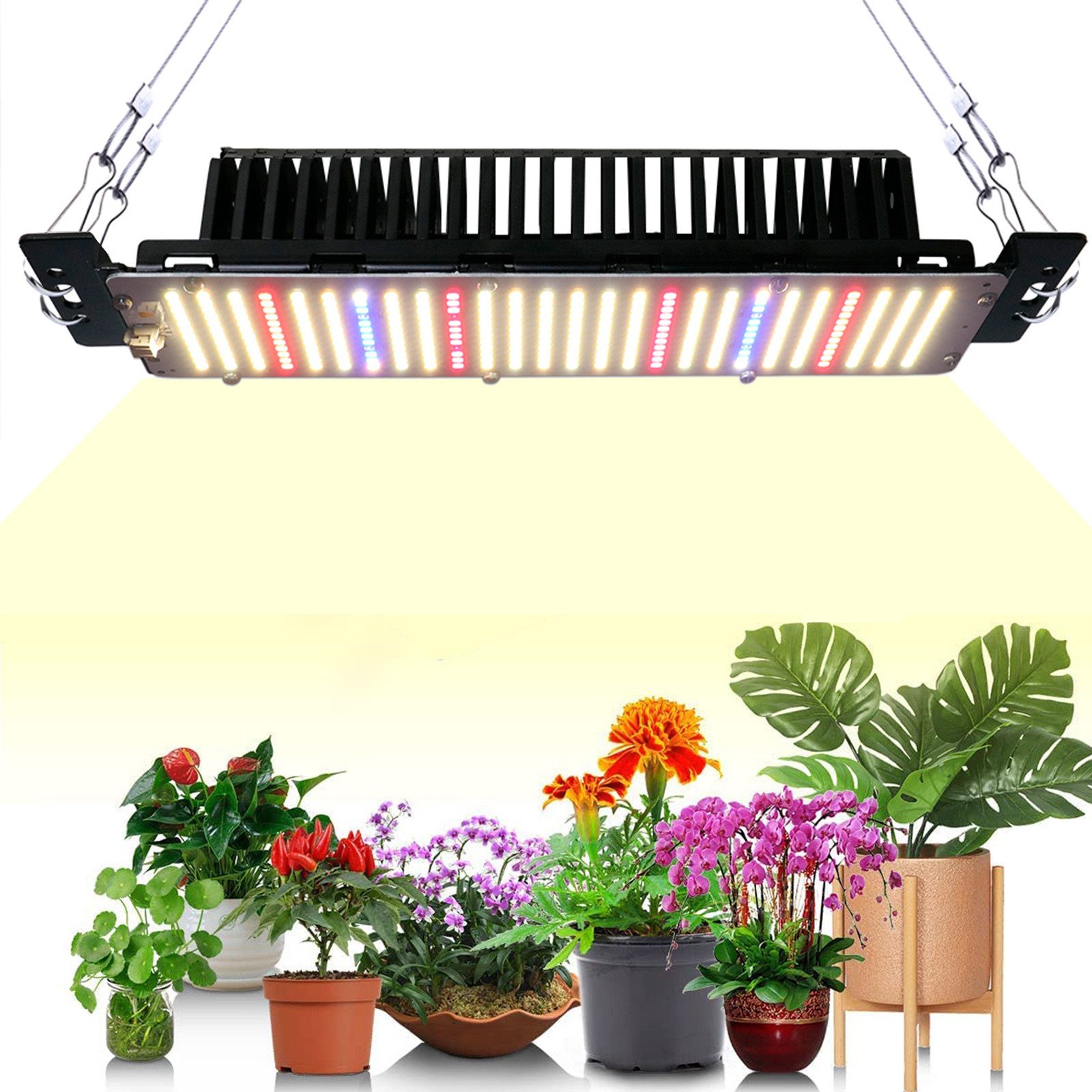 Jibenhome Pflanzenlampe 312 LEDs Vollspektrum Wachstumslicht 50W Cannabis G günstig online kaufen