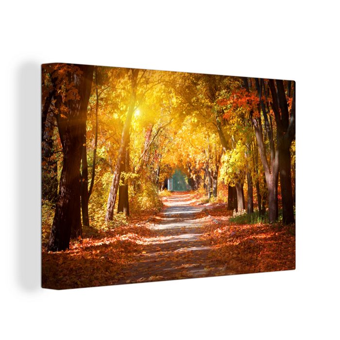 OneMillionCanvasses® Leinwandbild Ein Waldweg im Herbst (1 St) Wandbild Leinwandbilder Aufhängefertig Wanddeko