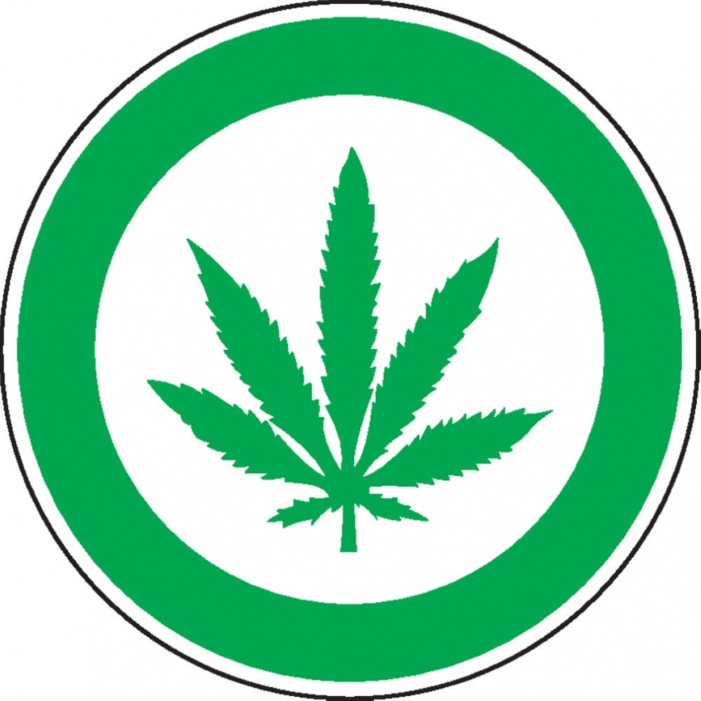 Dreifke Hinweisschild Cannabis erlaubt, praxisbewährt, PVC, Ø 200mm, Kunststoff-Schild