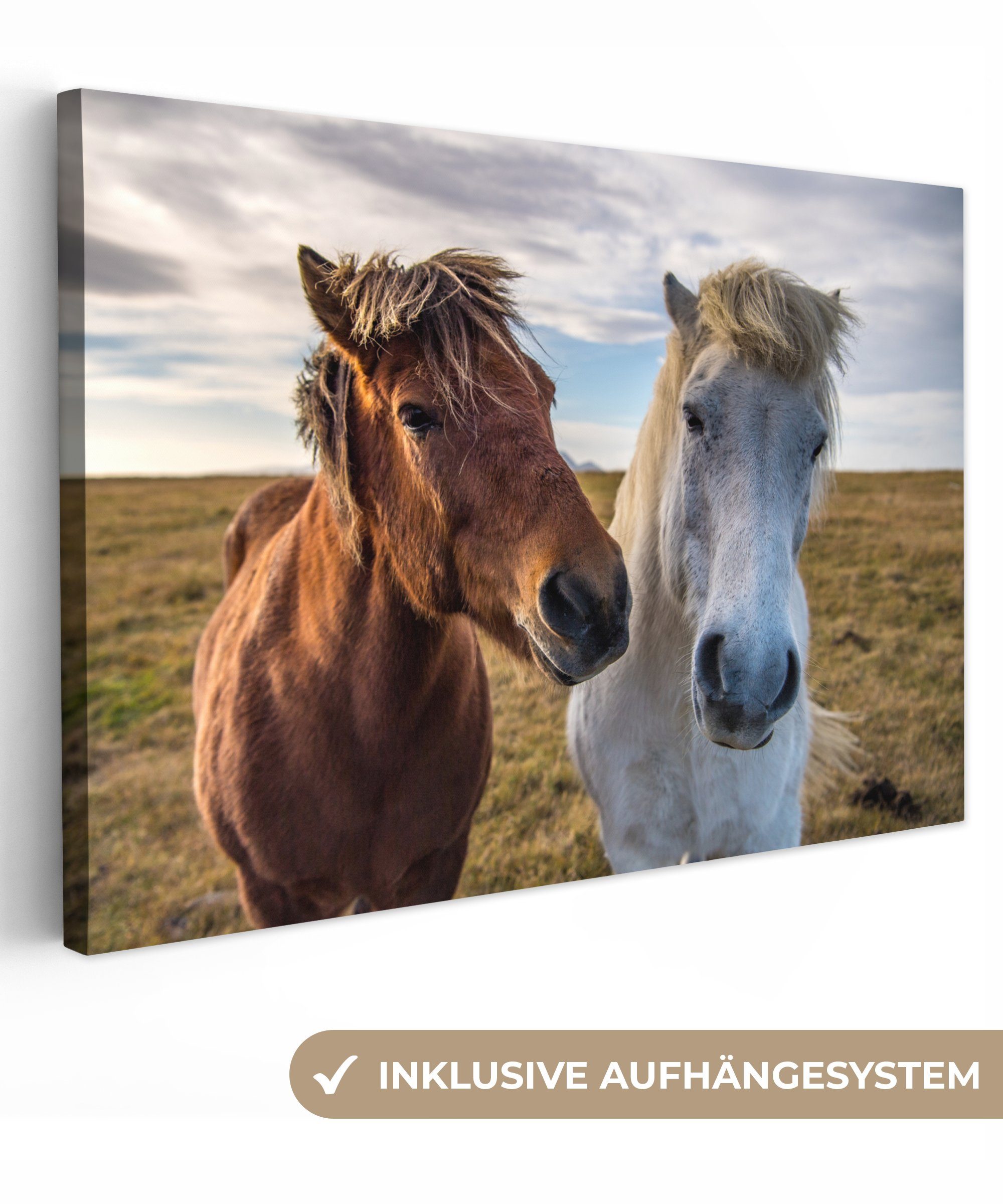 OneMillionCanvasses® Leinwandbild Isländische Ponys auf einer Wiese, (1 St), Wandbild Leinwandbilder, Aufhängefertig, Wanddeko, 30x20 cm