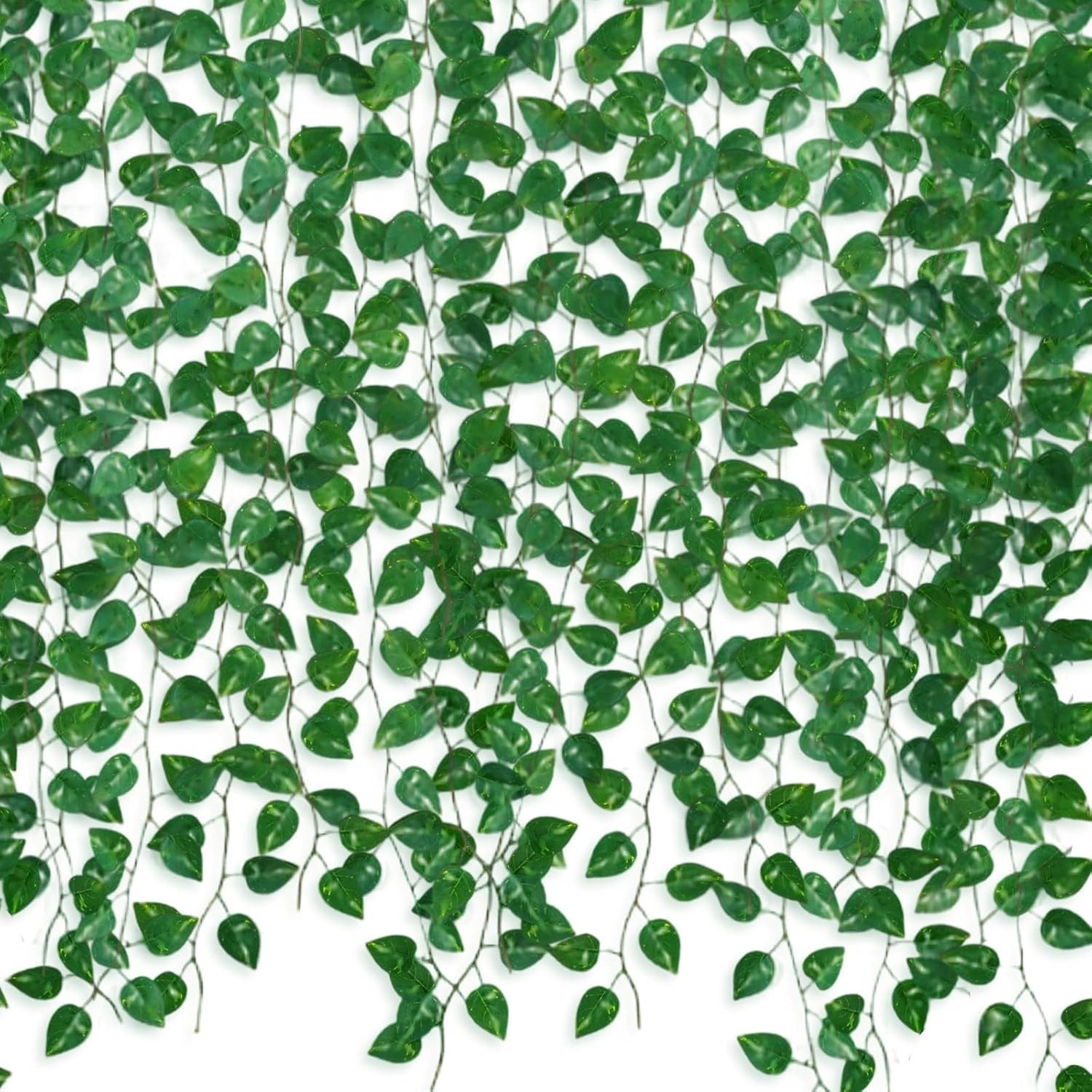 efeu ikea Efeu Hedera Helix Wonder - Pflanzen sicher zu dir nach Hause main image 0