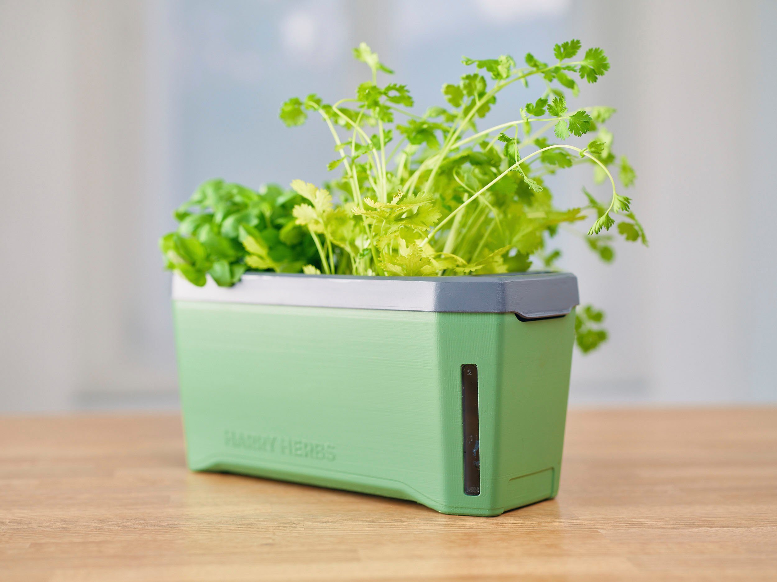 Gusta Garden HERBS HARRY 4 Wasserreservoir Kräutertopf in dunkelgrün Kräutertopf, mit 1