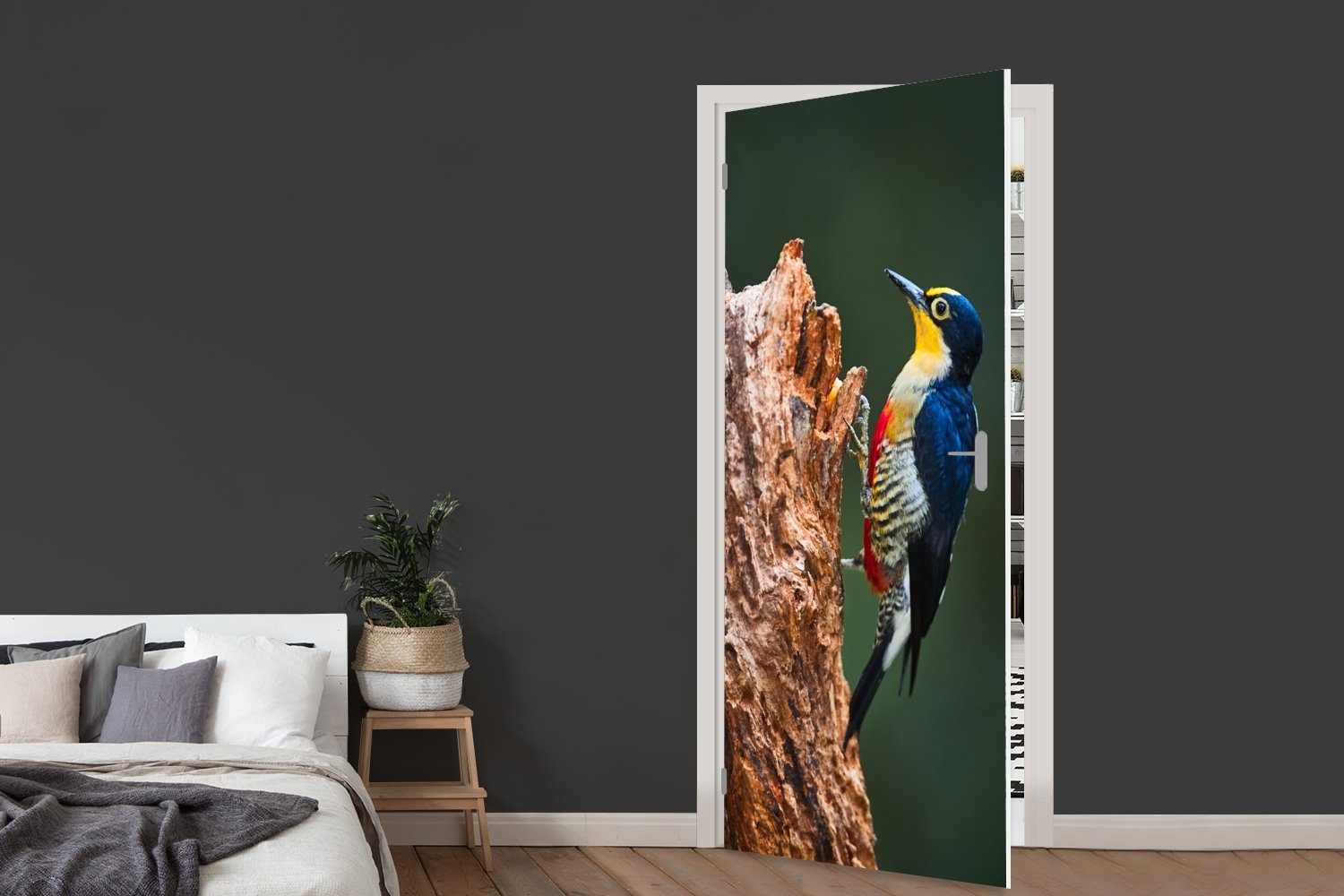 eines Fototapete Matt, Türtapete Tür, 75x205 der cm (1 Vogels bunten Türaufkleber, bedruckt, für Seite eines auf Baumstamms, St), Nahaufnahme MuchoWow