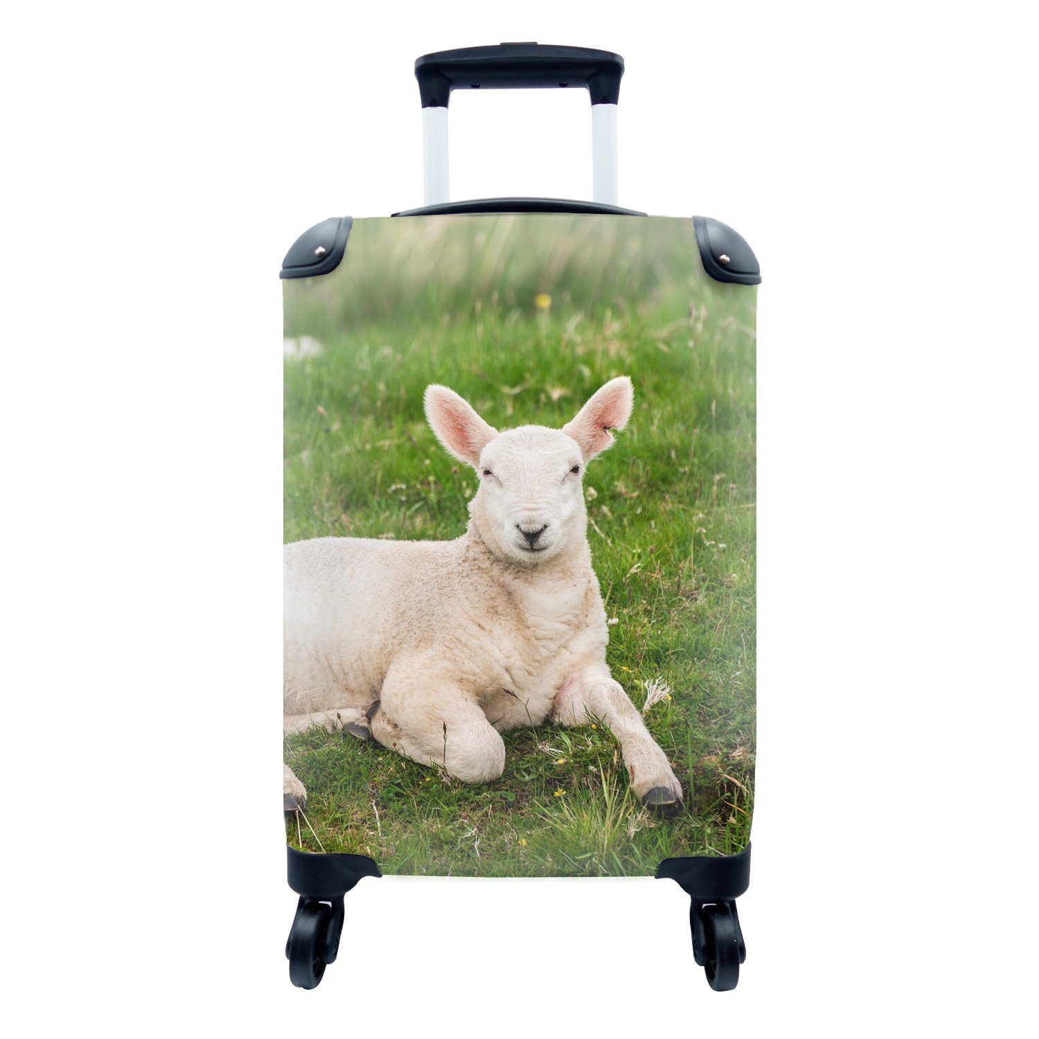 Rollen, Handgepäck Schafe rollen, - Handgepäckkoffer - Reisekoffer Ferien, MuchoWow mit Tiere für 4 Lamm, Reisetasche Trolley,