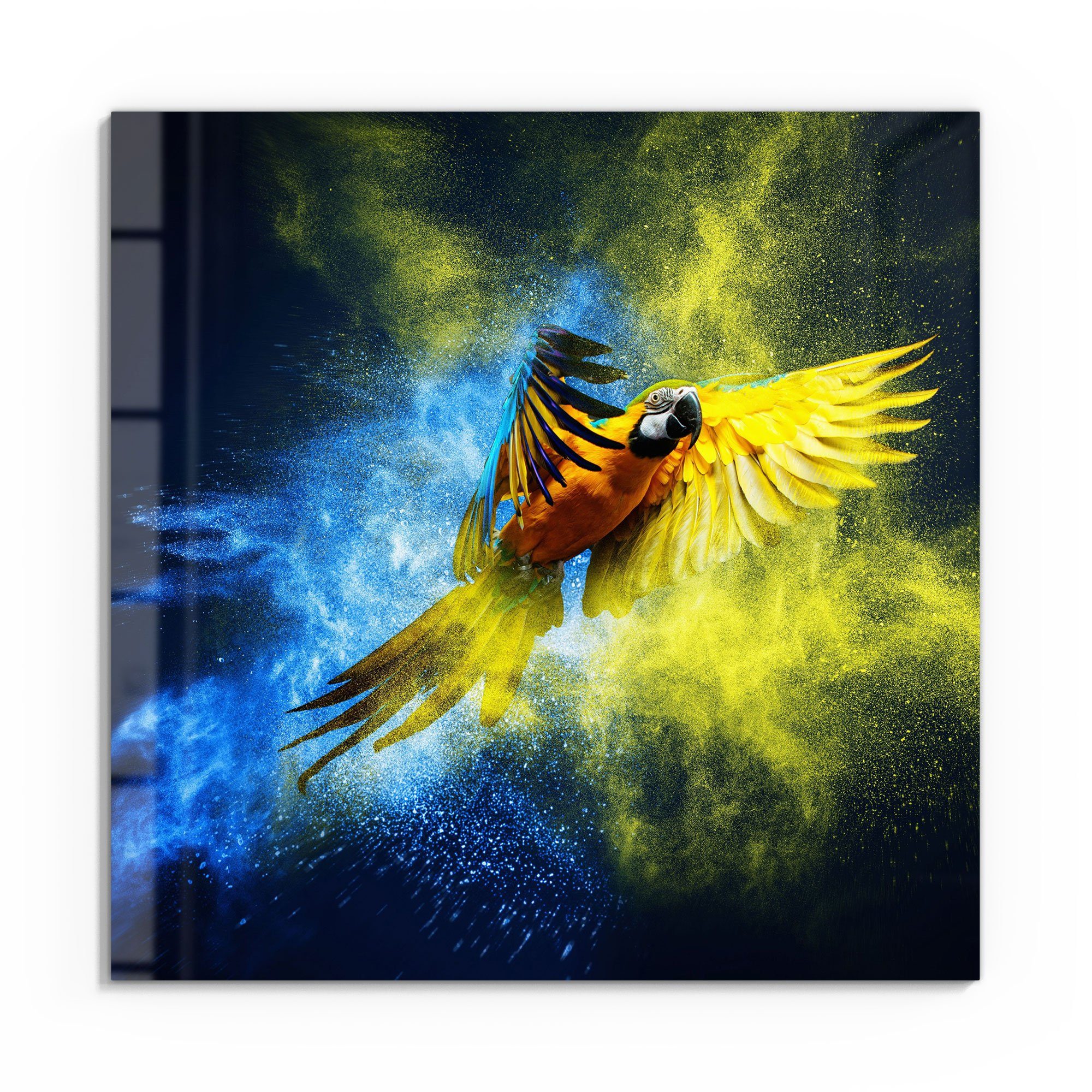 DEQORI Glasbild \'Papagei Farbwolke\', modern schwebend Wandbild in in Farbwolke\', \'Papagei Bild Glas