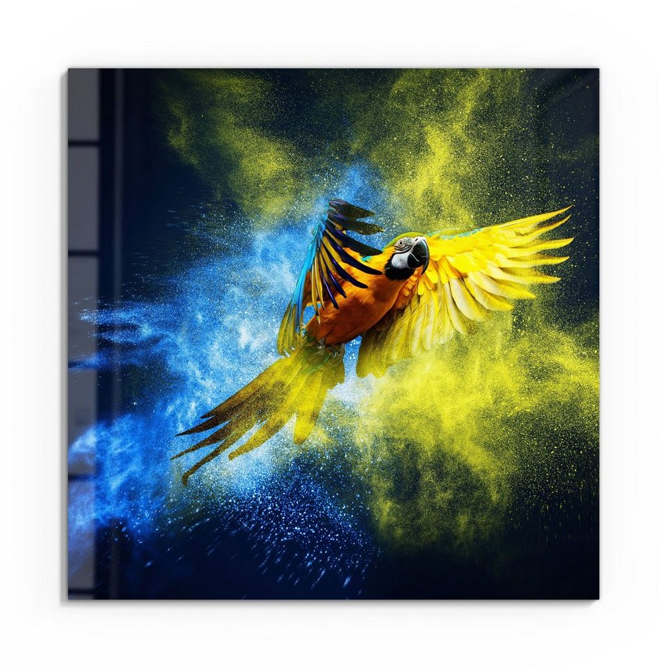 DEQORI Glasbild 'Papagei in Farbwolke', 'Papagei in Farbwolke', Glas Wandbild  Bild schwebend modern