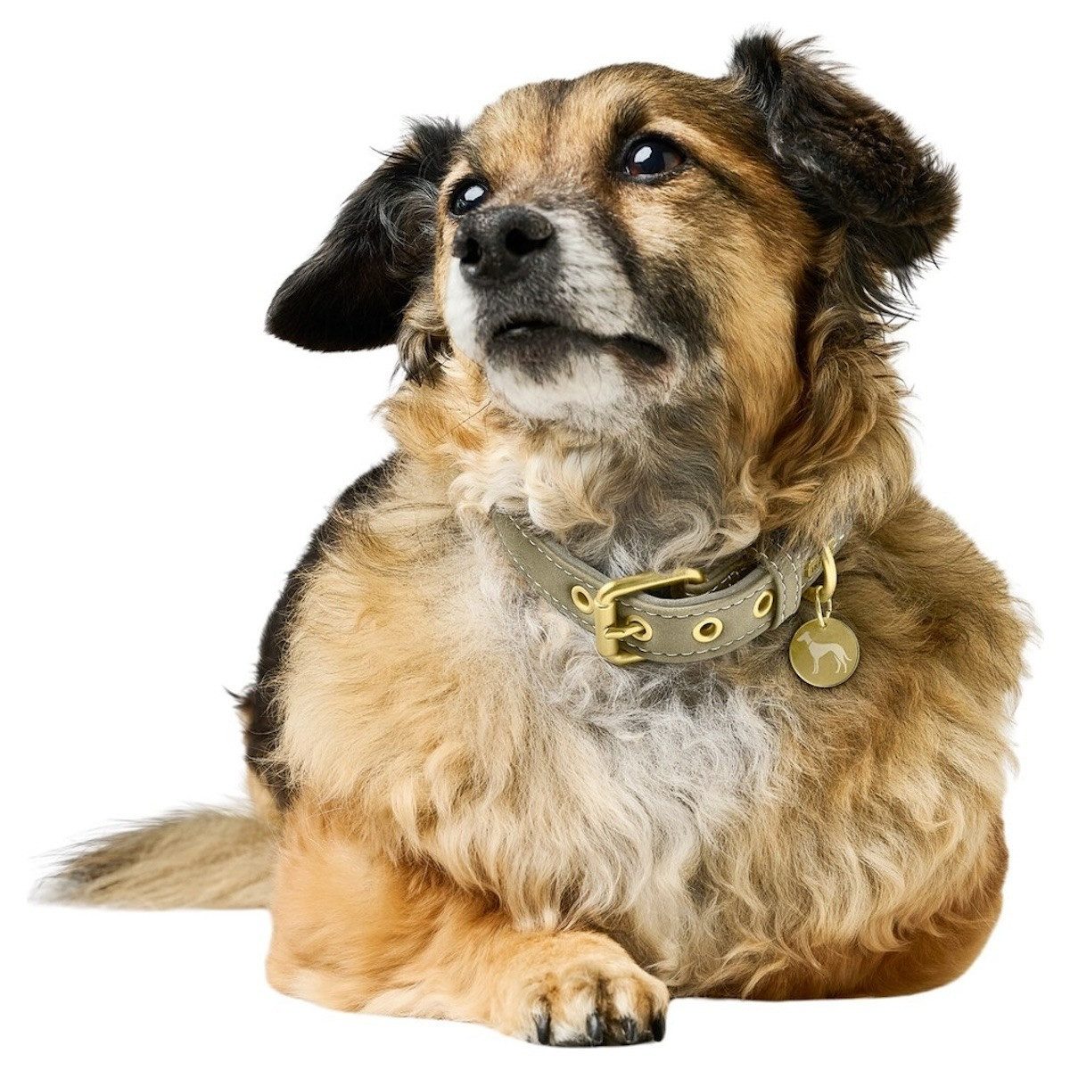 Hunter Tierbedarf Hunde-Halsband Halsband Malibu salbeigrün