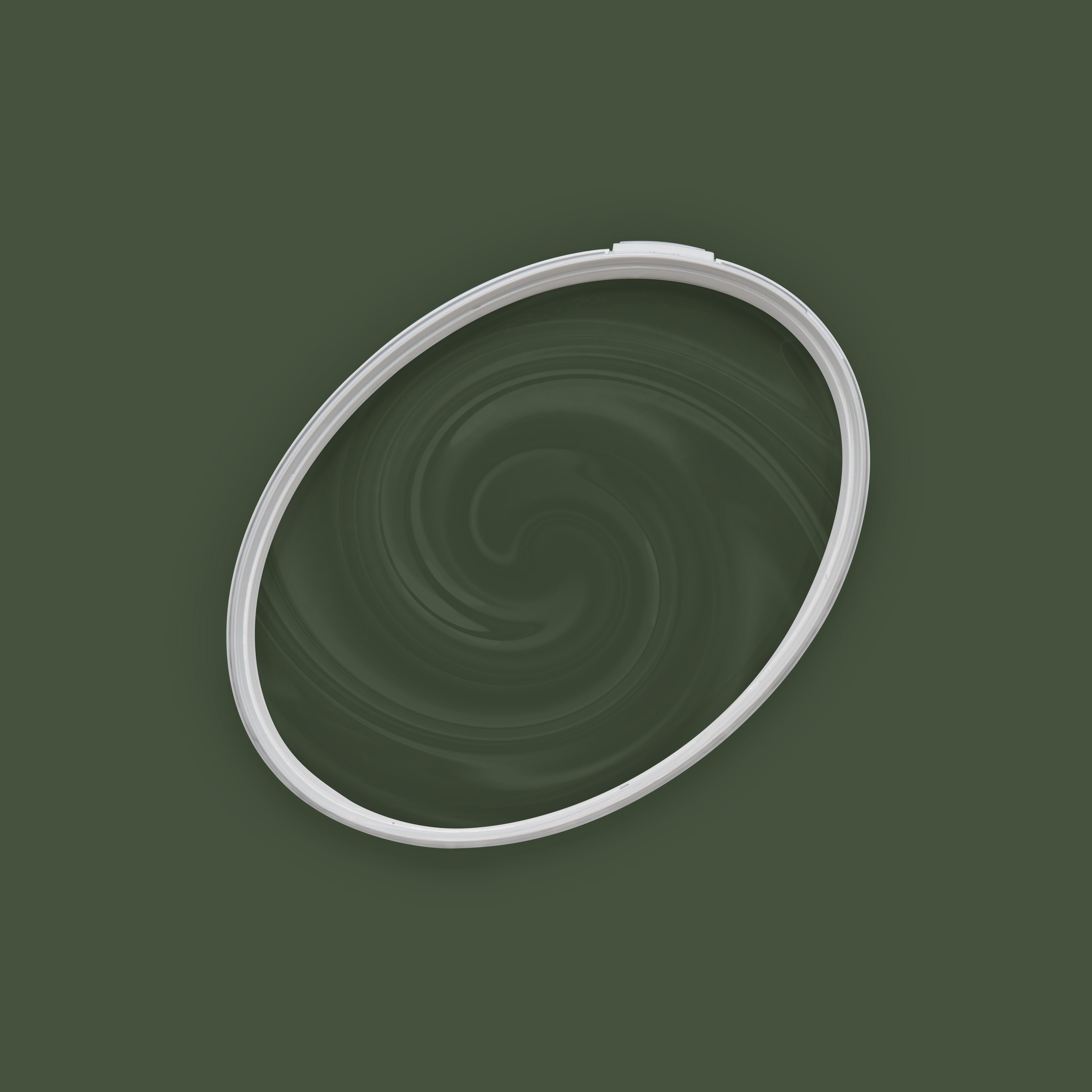 A.S. Création Wand- und Deckenfarbe The Color Kitchen Wandfarbe Grün "Zippy Zuchini" TCK4006 2,5 l