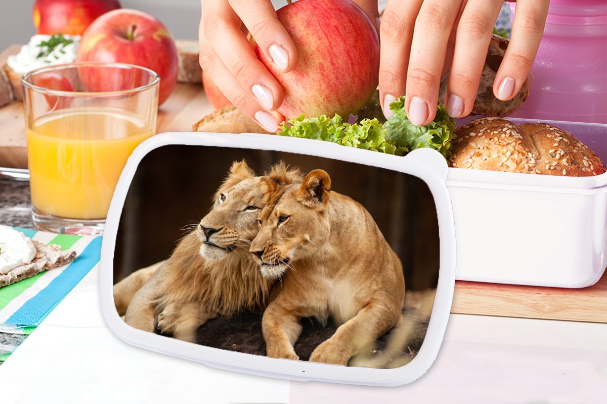 Lunchbox Löwen und Kunststoff, Mädchen für Brotdose, MuchoWow Jungs Braun Brotbox Tiere, und Kinder weiß - (2-tlg), - Erwachsene, für