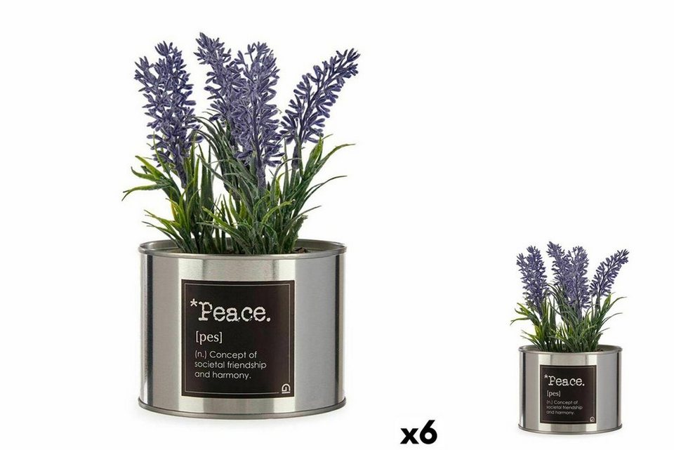 Künstliche Zimmerpflanze Dekorationspflanze Kunststoff Lavendel Dose 6  Stück, Ibergarden, Höhe 17 cm