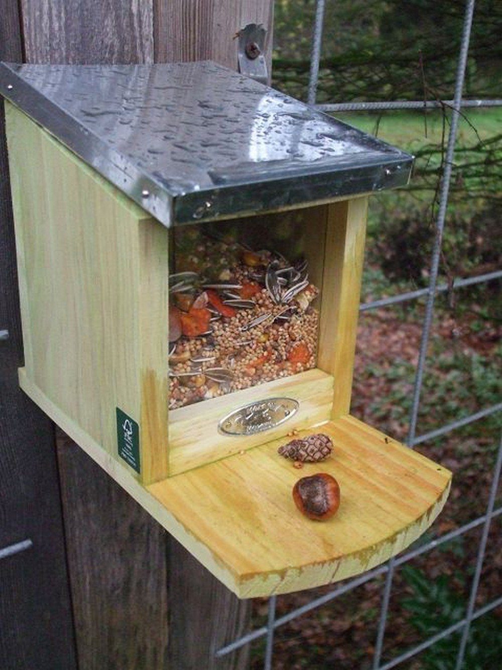 Deko-Impression Futterspender Eichhörnchen Futterhaus Futterautomat Futterstelle + 500 Gr Futter