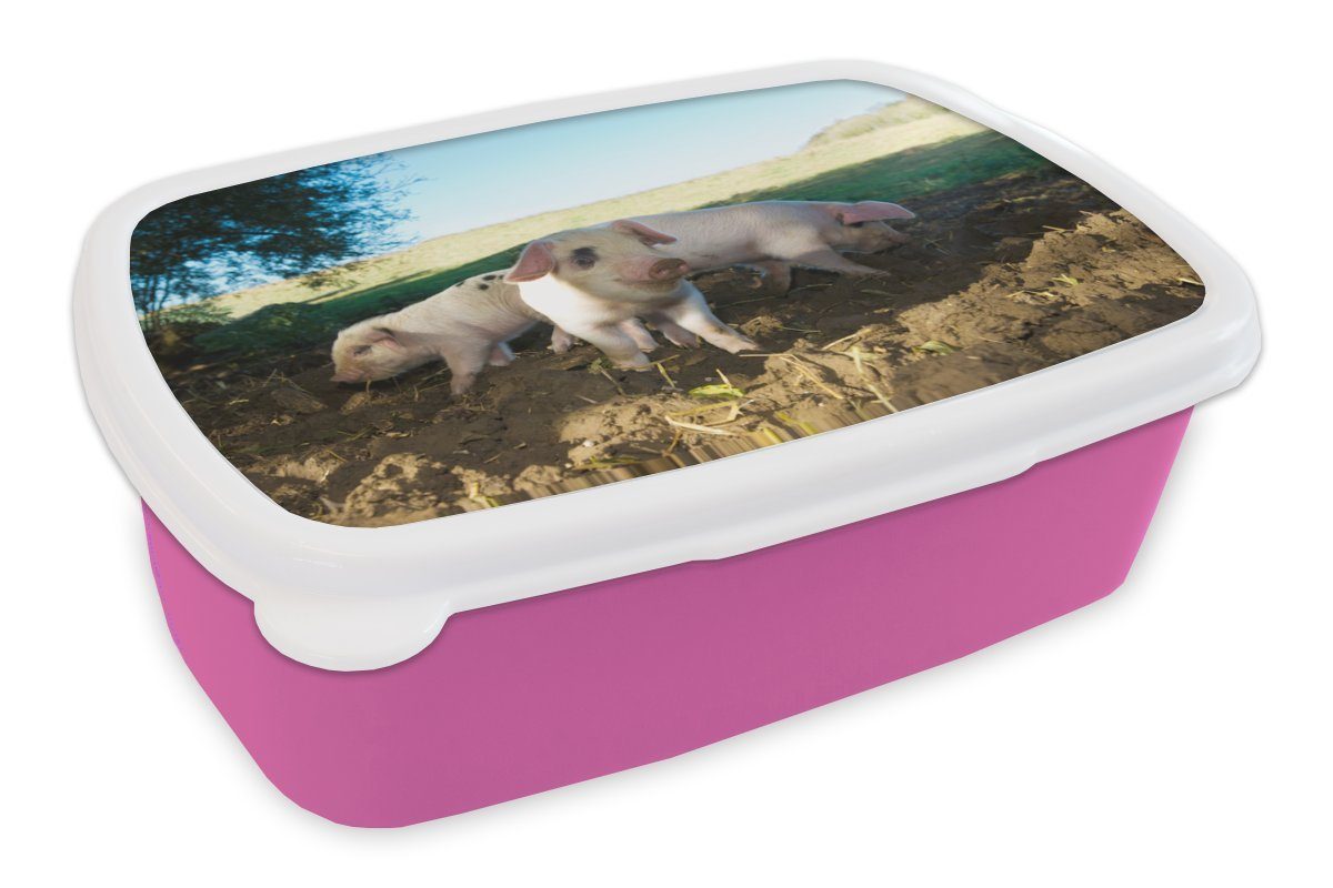MuchoWow Lunchbox Schweine - Tiere - Landschaft, Kunststoff, (2-tlg), Brotbox für Erwachsene, Brotdose Kinder, Snackbox, Mädchen, Kunststoff rosa