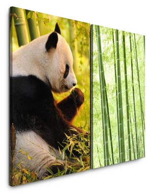 Sinus Art Leinwandbild 2 Bilder je 60x90cm Panda Pandabär Bambus Asien Bambuswald Grün Friedlich