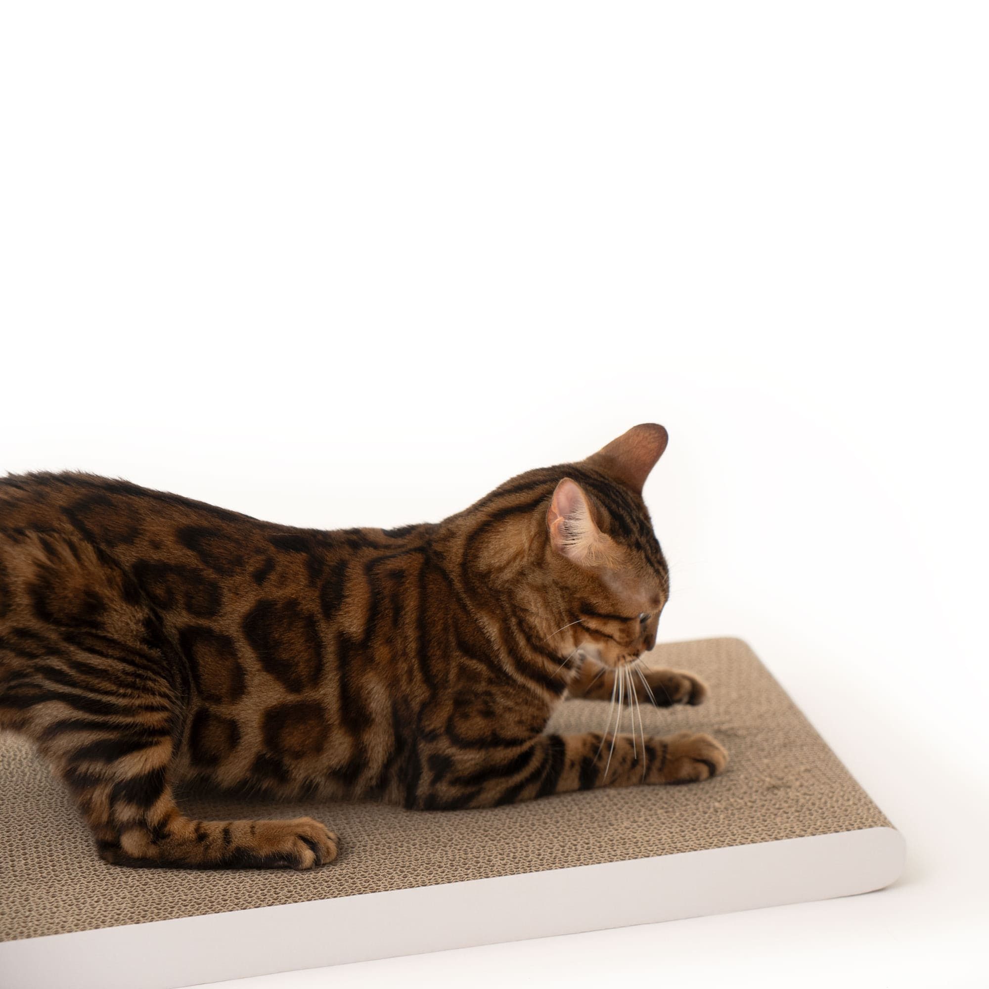 LucyBalu Kratzbrett SCRATCHPAPER Katzen Kratzbrett aus Wellpappe, umkehrbare Kratzmatte, Katzen Kratzpappe, Katzenbrett aus Wellpappe, Kratzpad