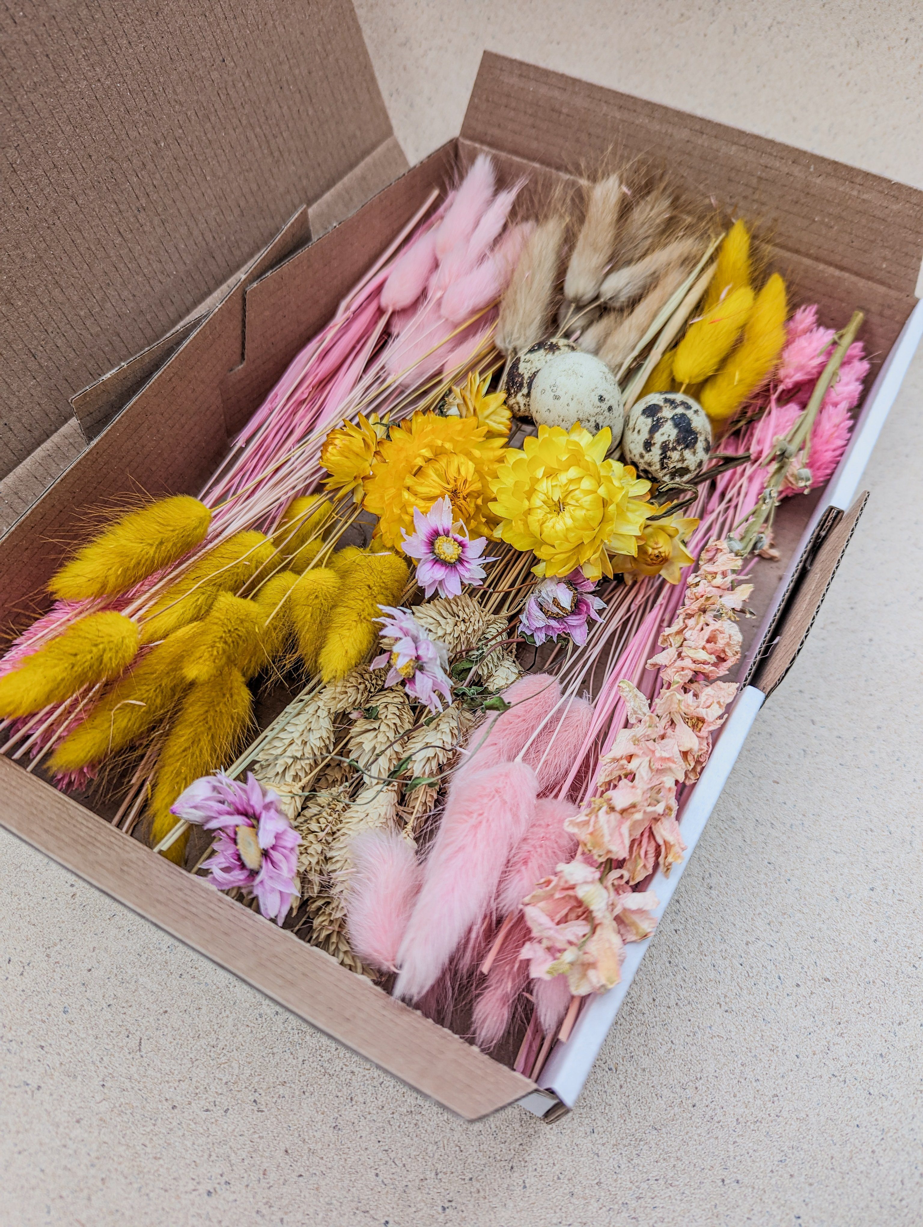Trockenblume Trockenblumen Deko Mix Box in Rosa Gelb für DIY Projekte Lagurus, Phalaris, DekoPanda