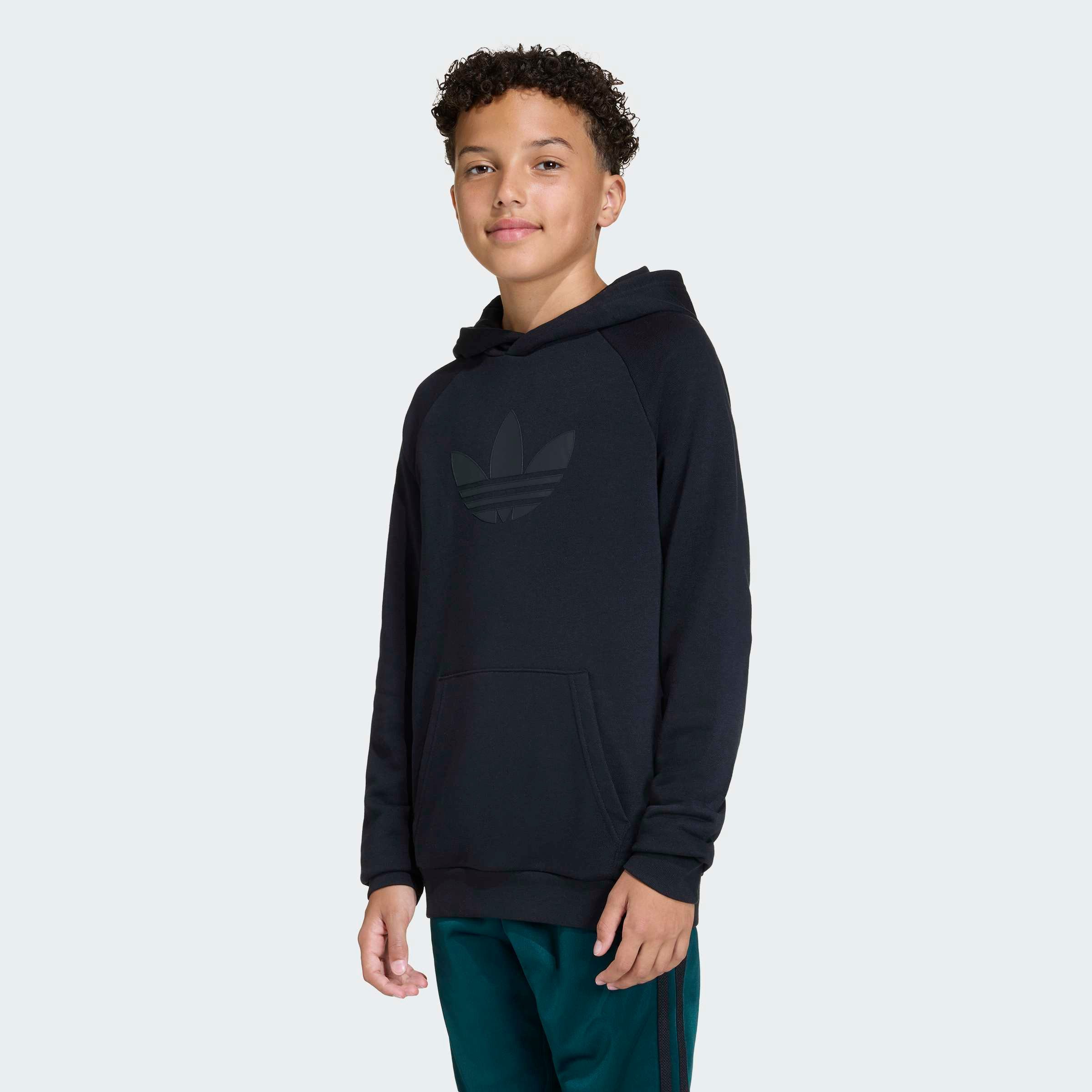 adidas Originals Kapuzensweatshirt GFX TR LO HO