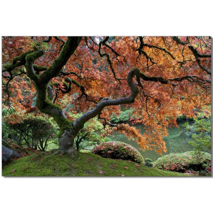 Victor (Zenith) Leinwandbild Japanischer Baum Bäume in 30x45 cm Wandbild Leinwand Bäume Landschaftsbild