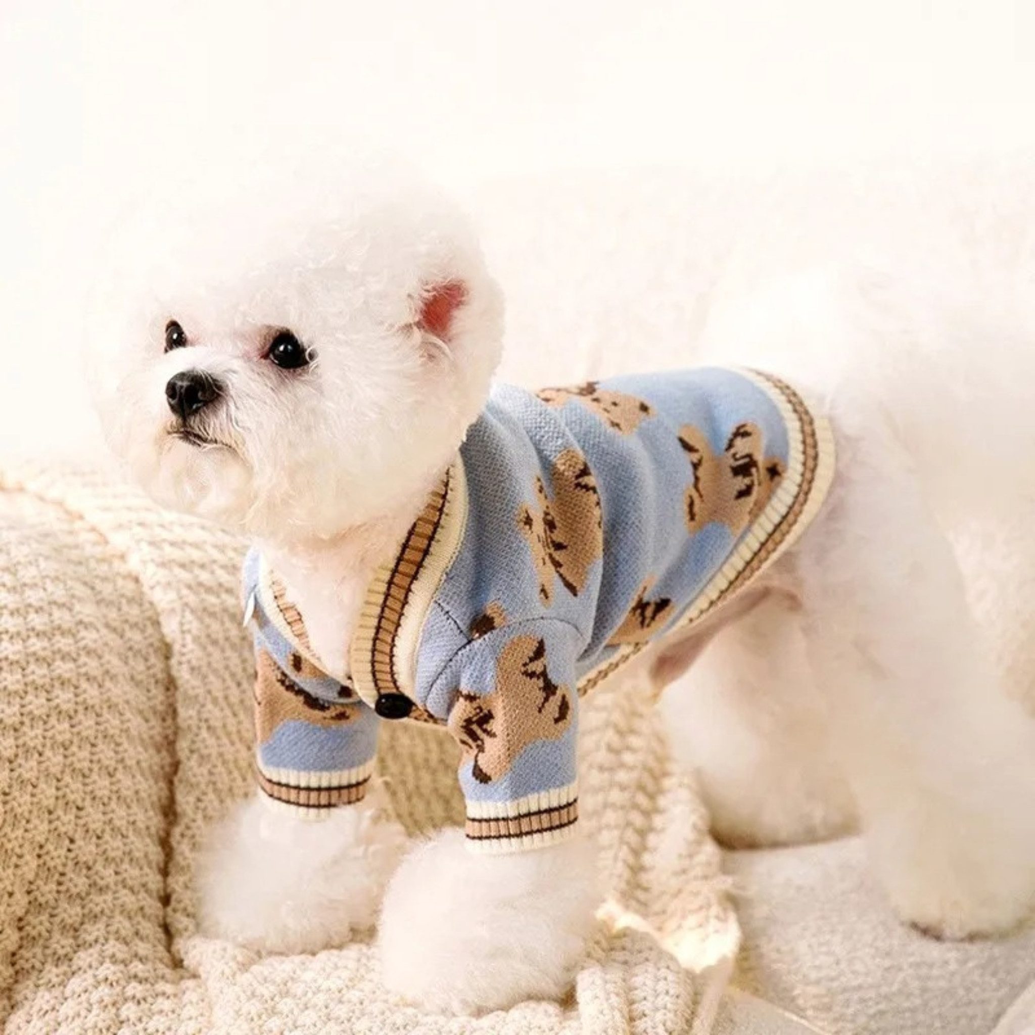 FLOCKI Pets™ Hundepullover Hunde Strickpullover, für Hunde in verschiedenen Größen, niedliches Teddy-Bär Design